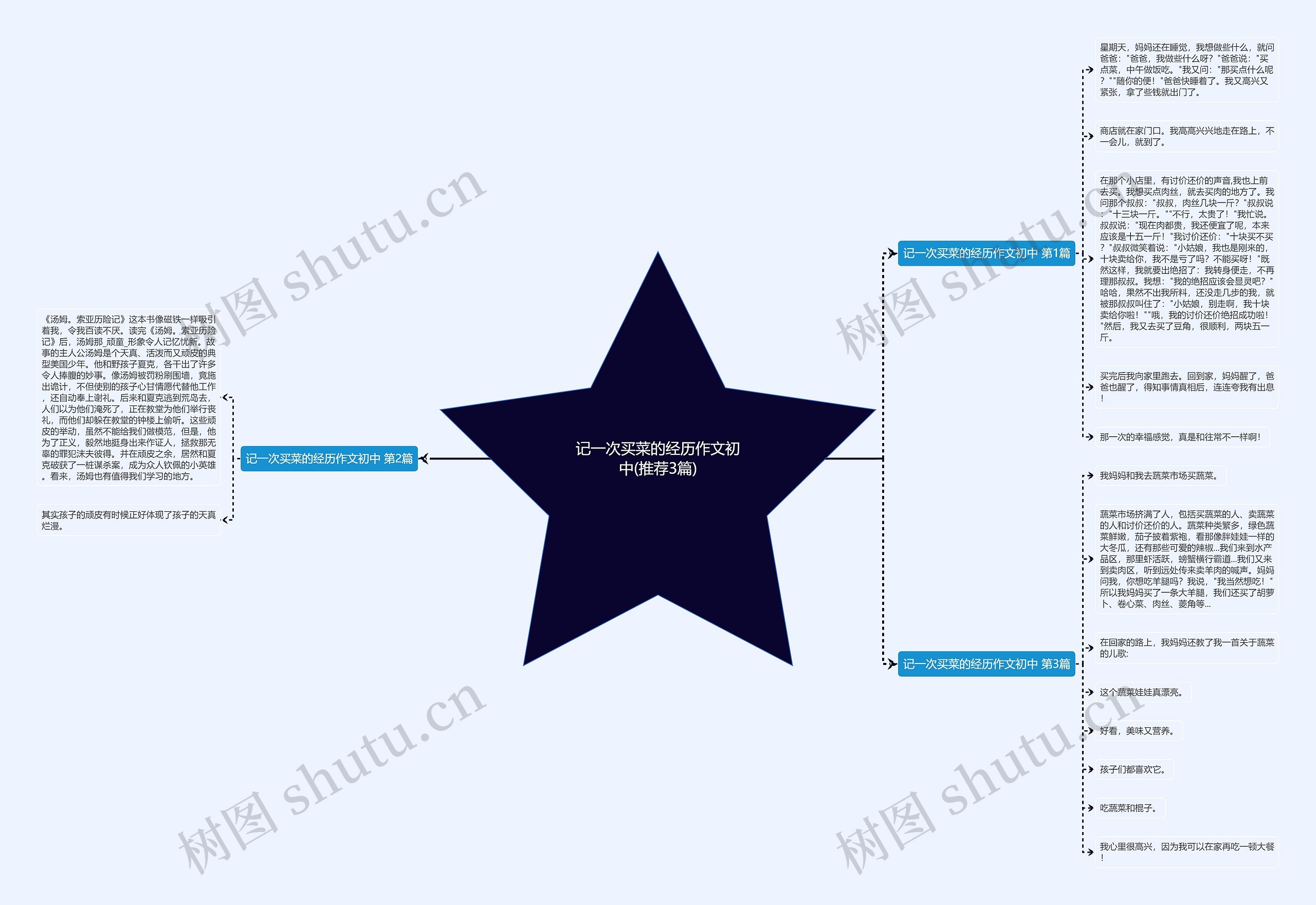 记一次买菜的经历作文初中(推荐3篇)思维导图