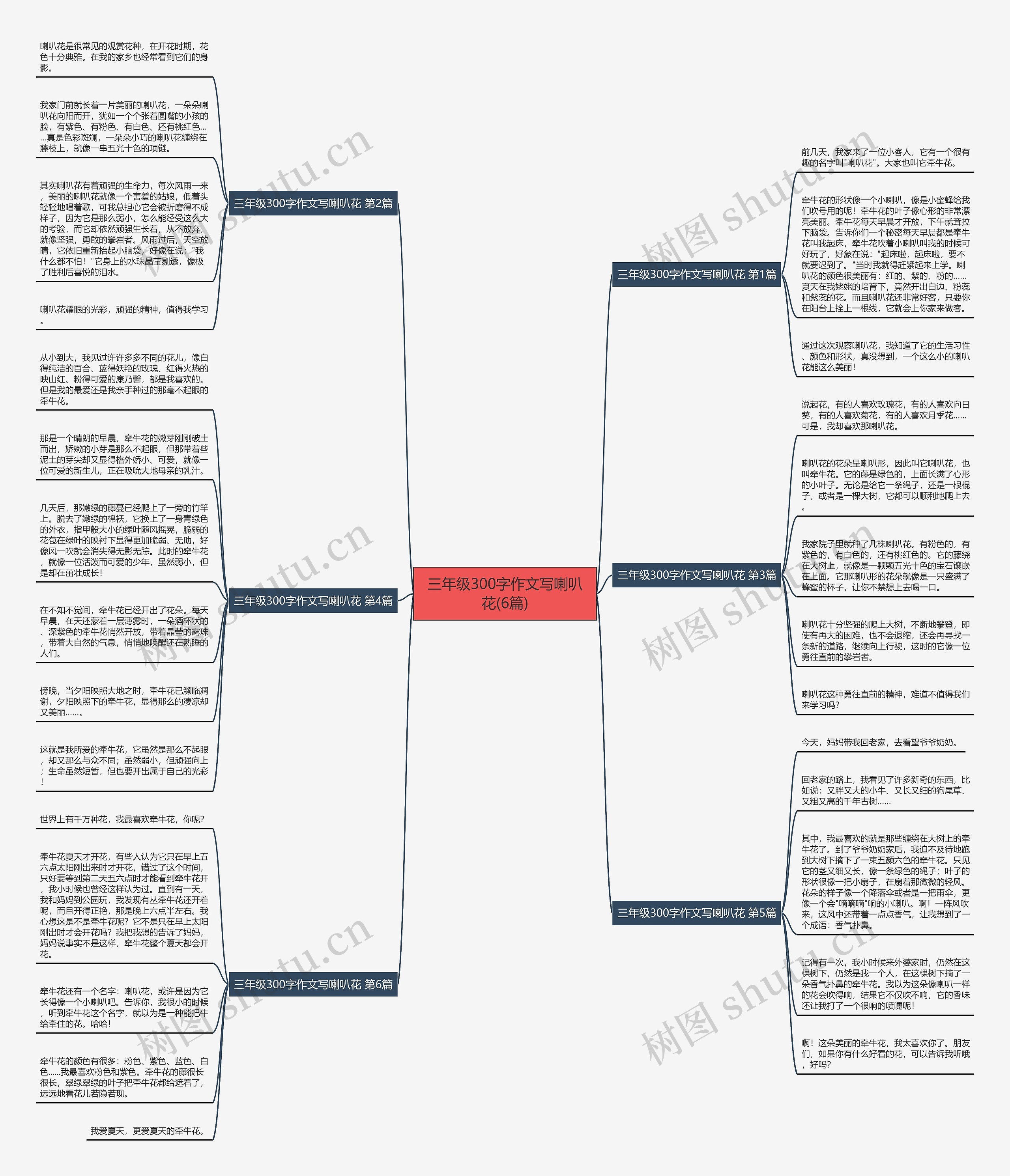 三年级300字作文写喇叭花(6篇)思维导图