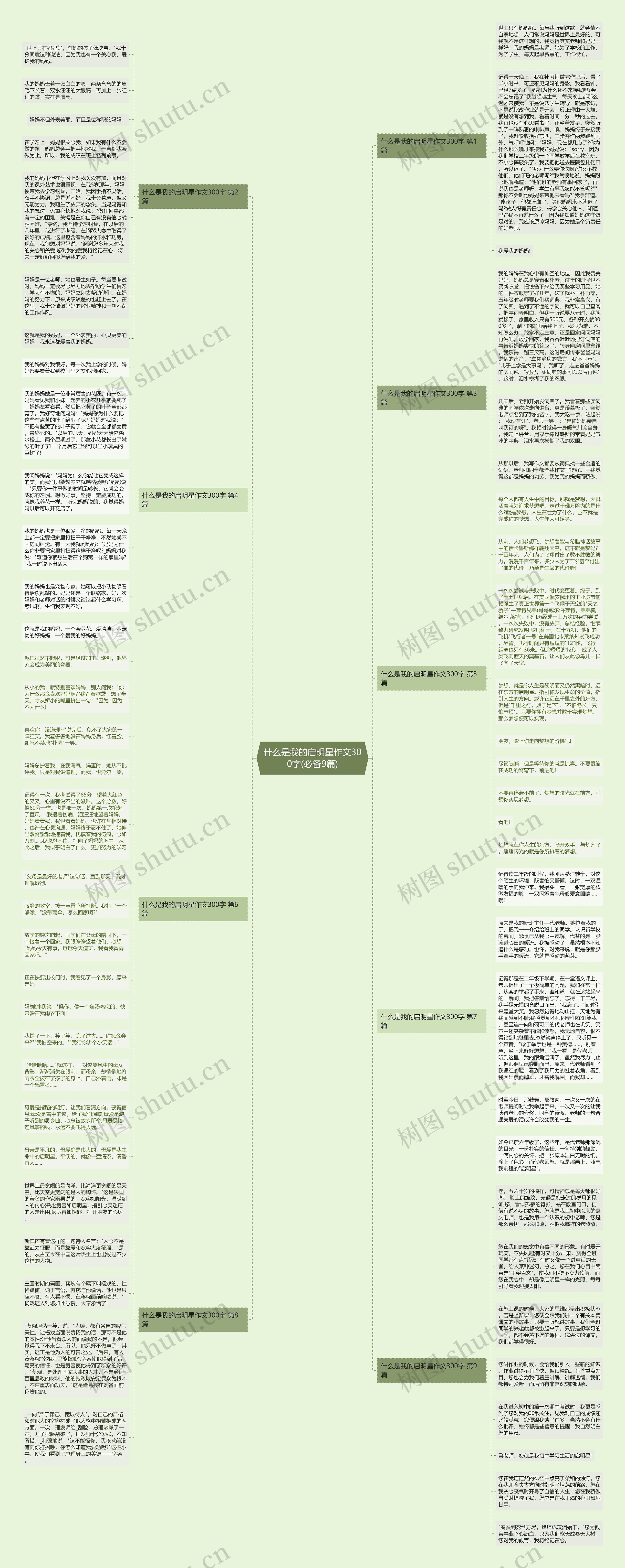 什么是我的启明星作文300字(必备9篇)思维导图