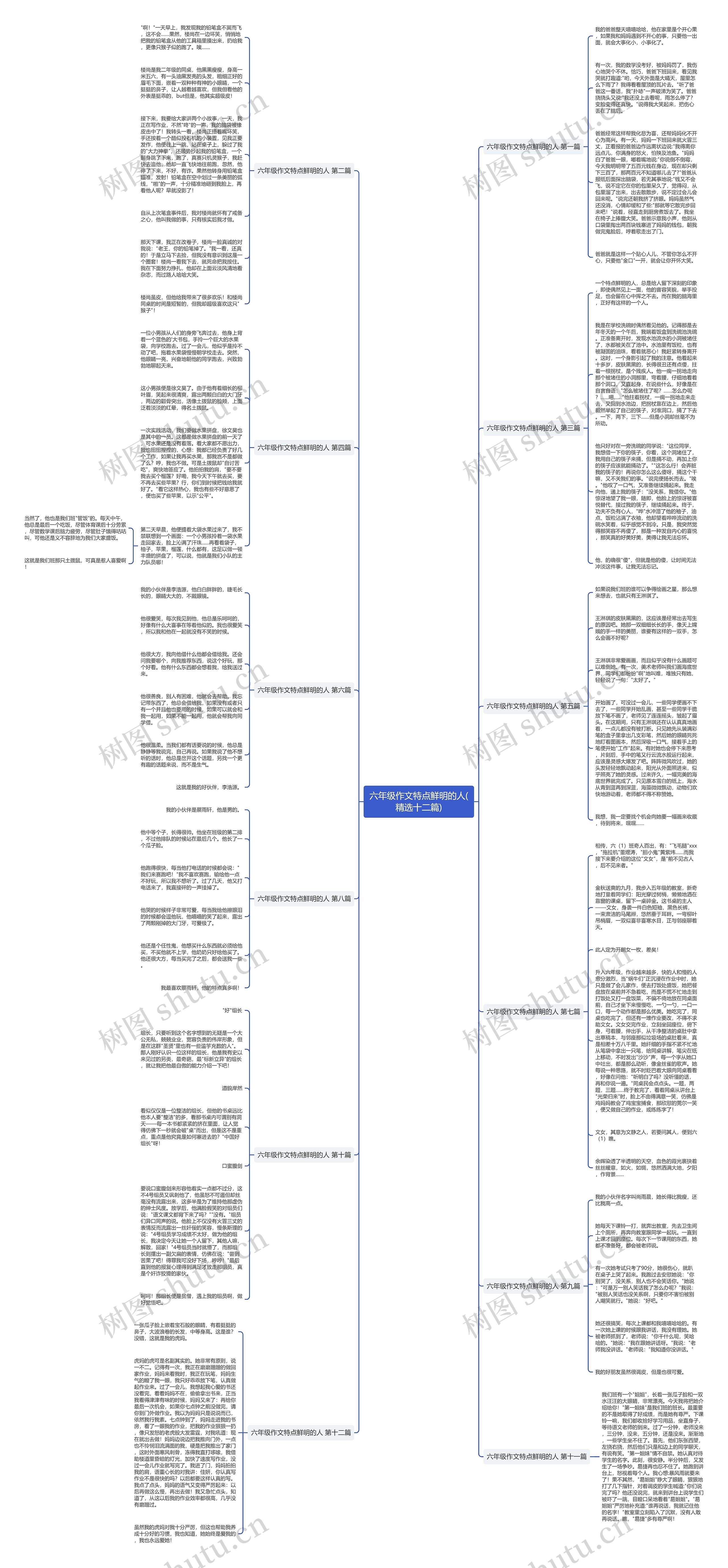 六年级作文特点鲜明的人(精选十二篇)思维导图