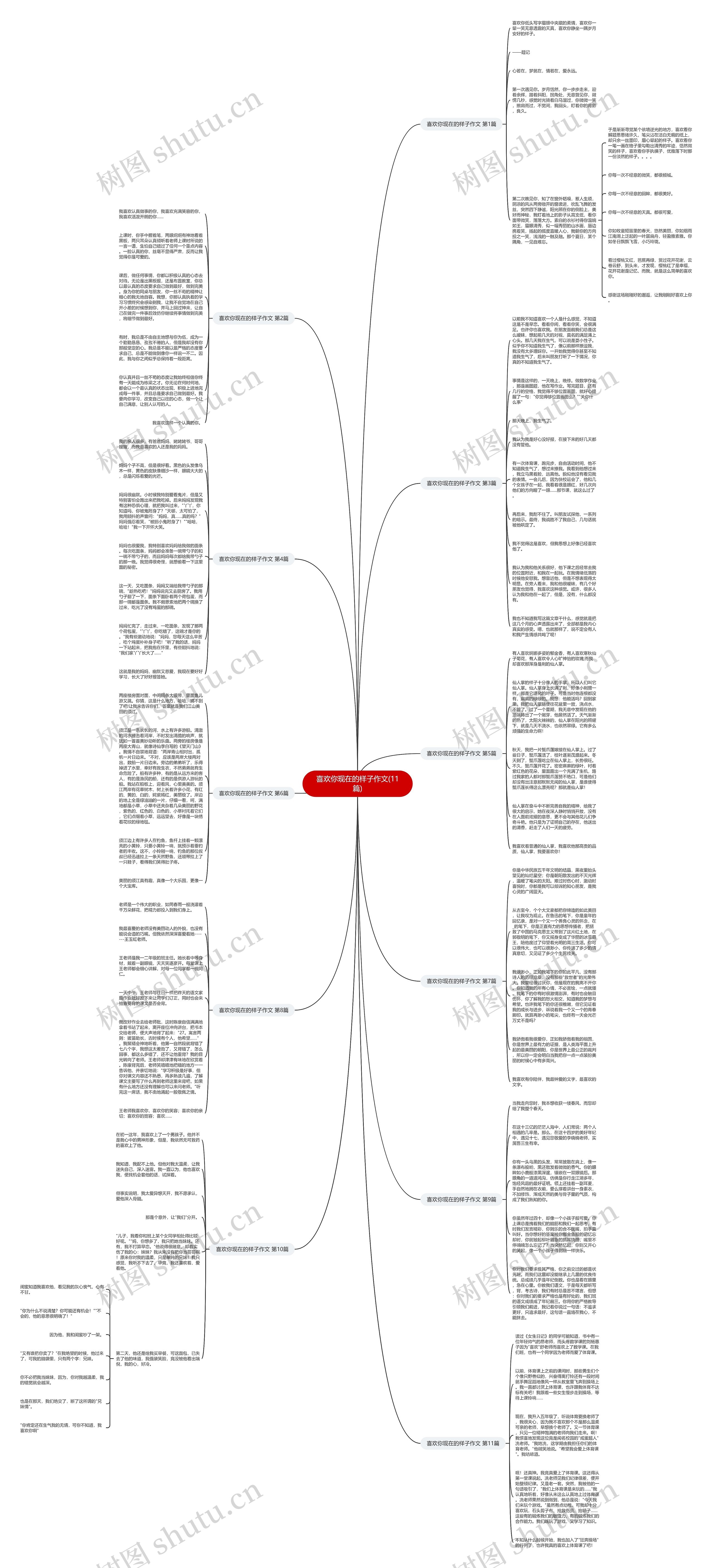 喜欢你现在的样子作文(11篇)思维导图