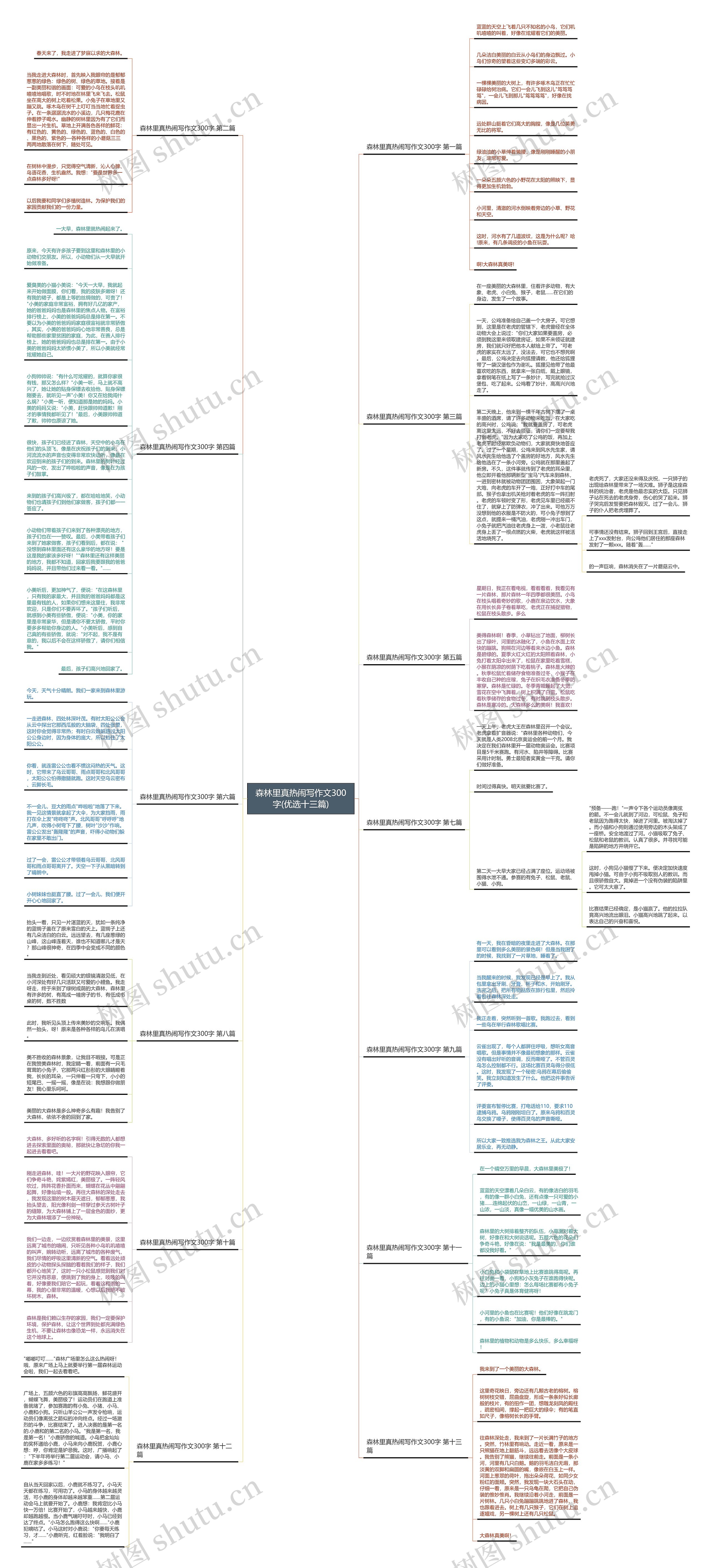森林里真热闹写作文300字(优选十三篇)思维导图