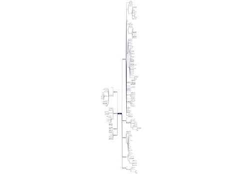 生日会活动通知范文大全(优选9篇) 生日会活动通知范文大全(优选9篇)