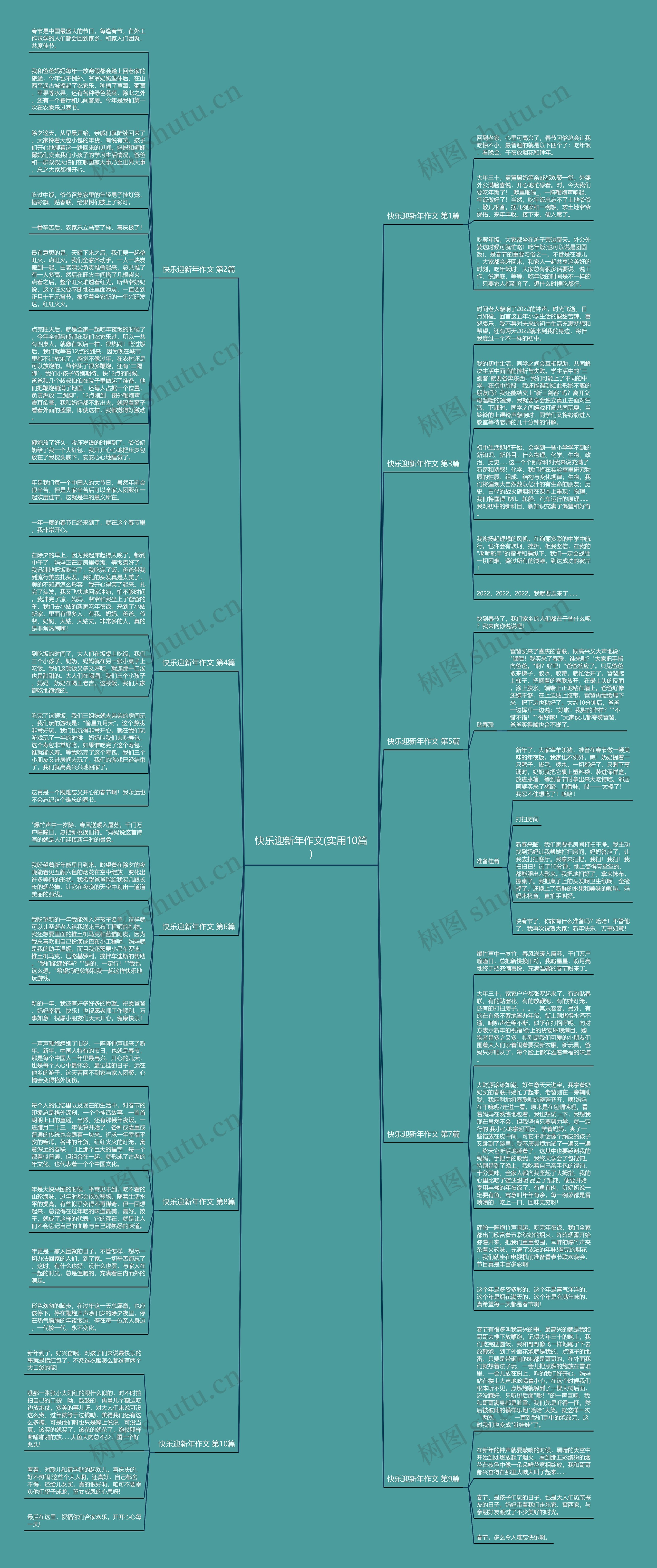 快乐迎新年作文(实用10篇)思维导图
