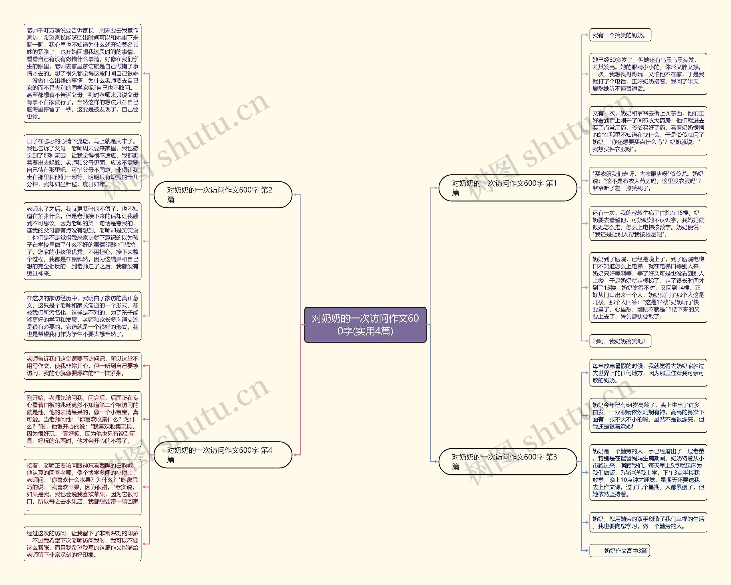 对奶奶的一次访问作文600字(实用4篇)思维导图