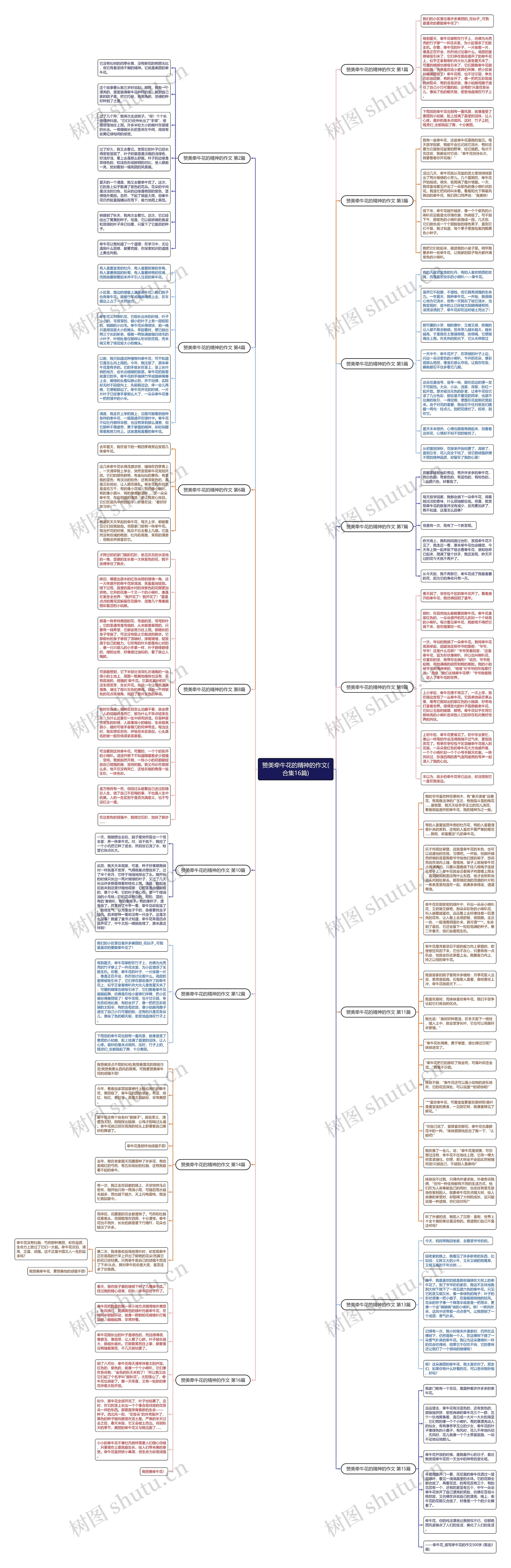赞美牵牛花的精神的作文(合集16篇)思维导图