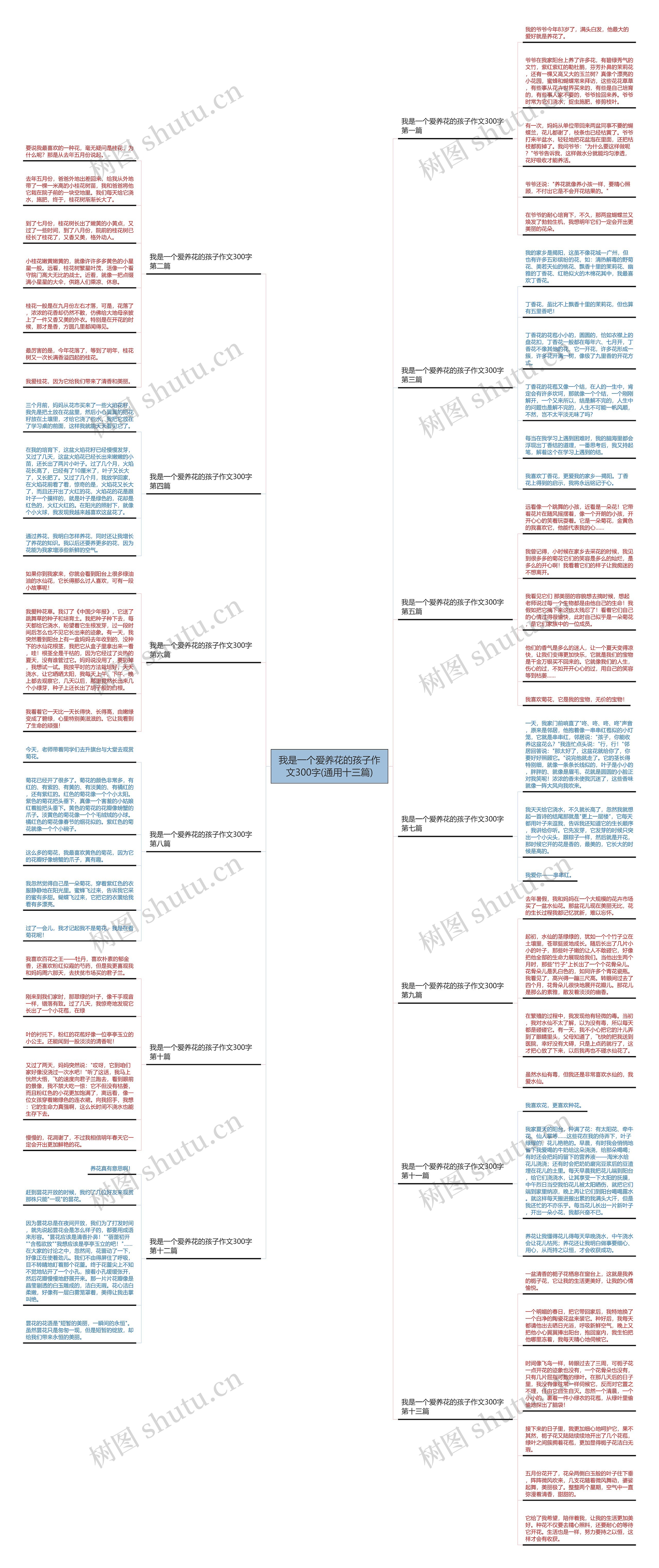 我是一个爱养花的孩子作文300字(通用十三篇)思维导图