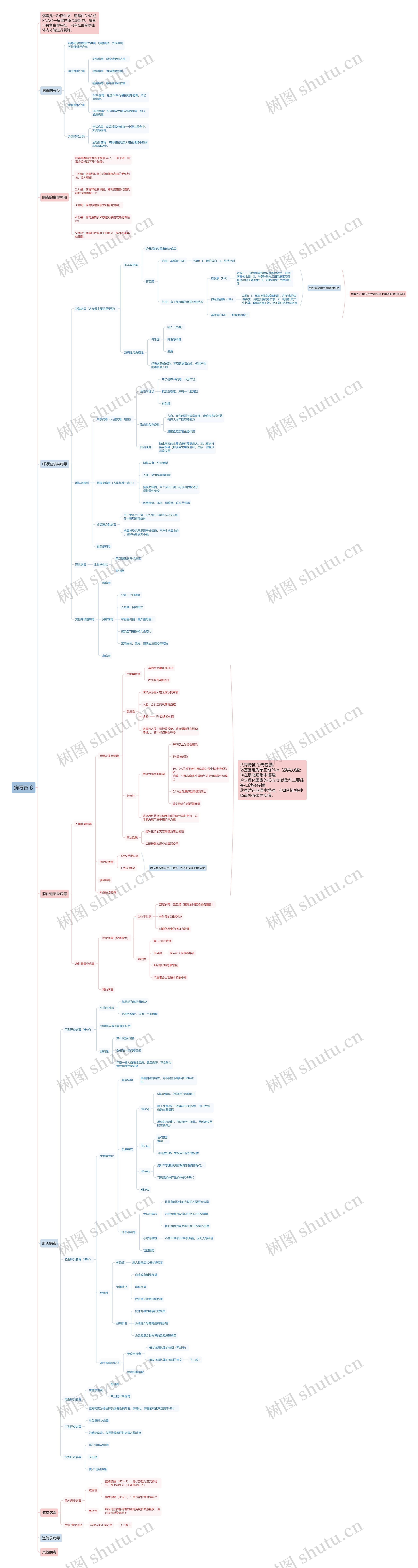 病毒各论思维导图