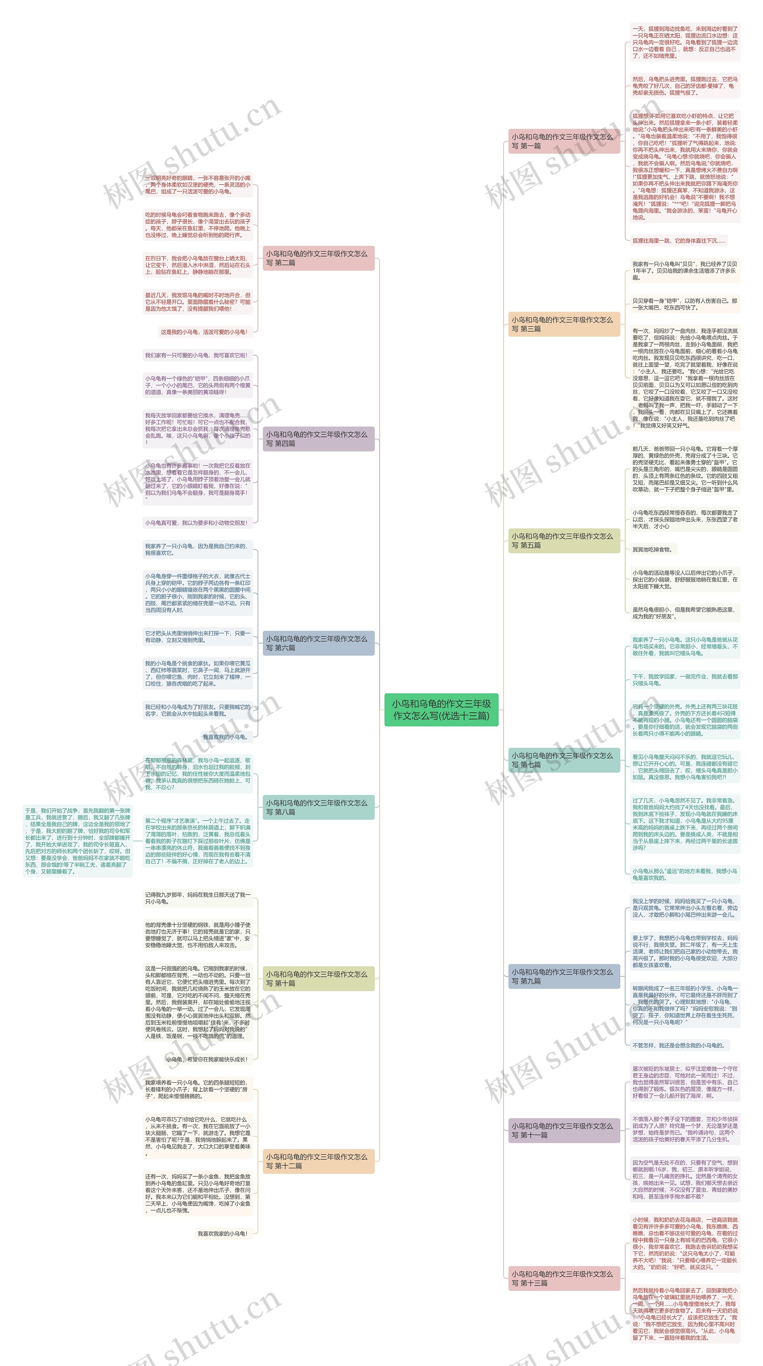 小鸟和乌龟的作文三年级作文怎么写(优选十三篇)思维导图
