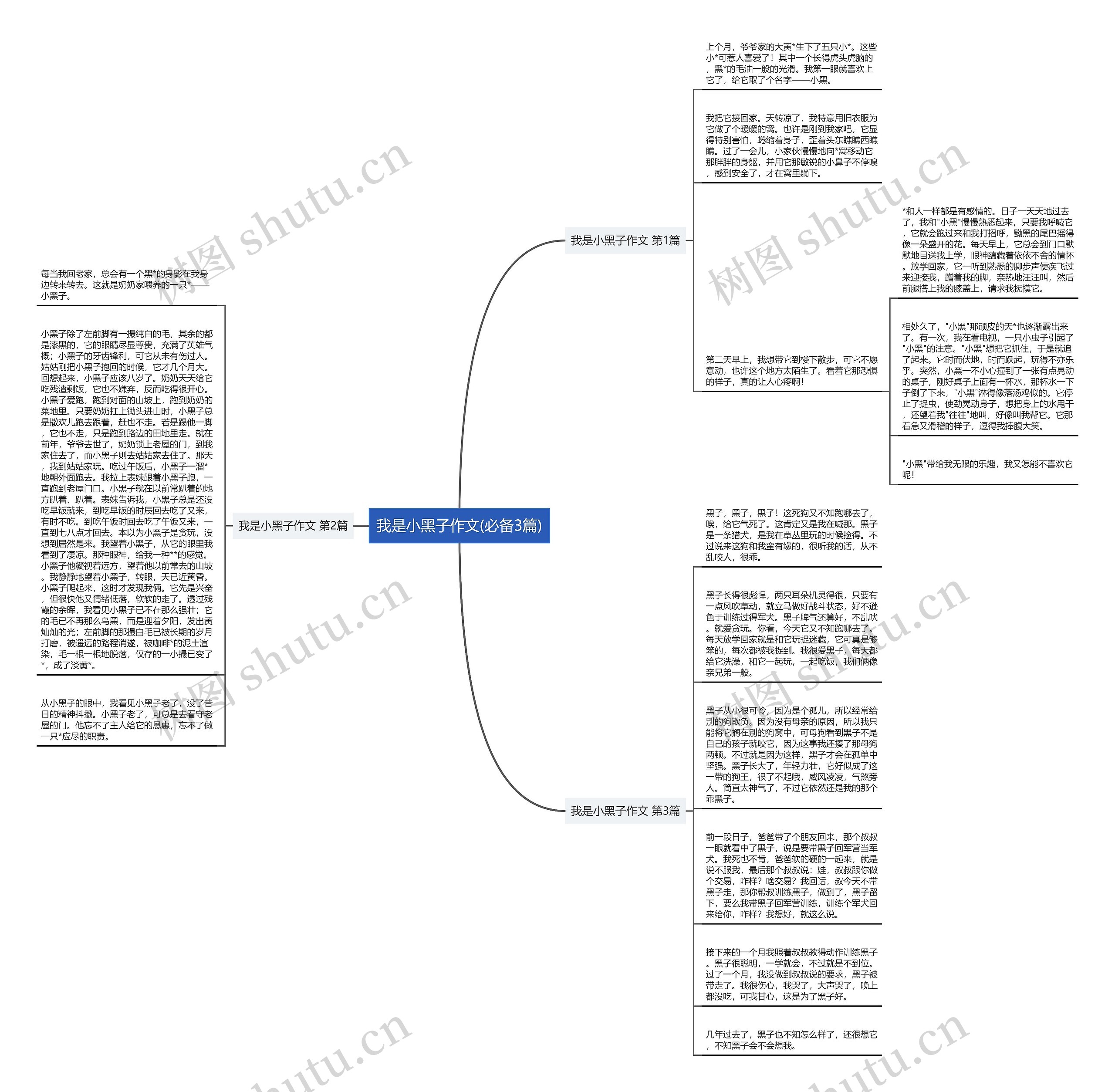 我是小黑子作文(必备3篇)思维导图