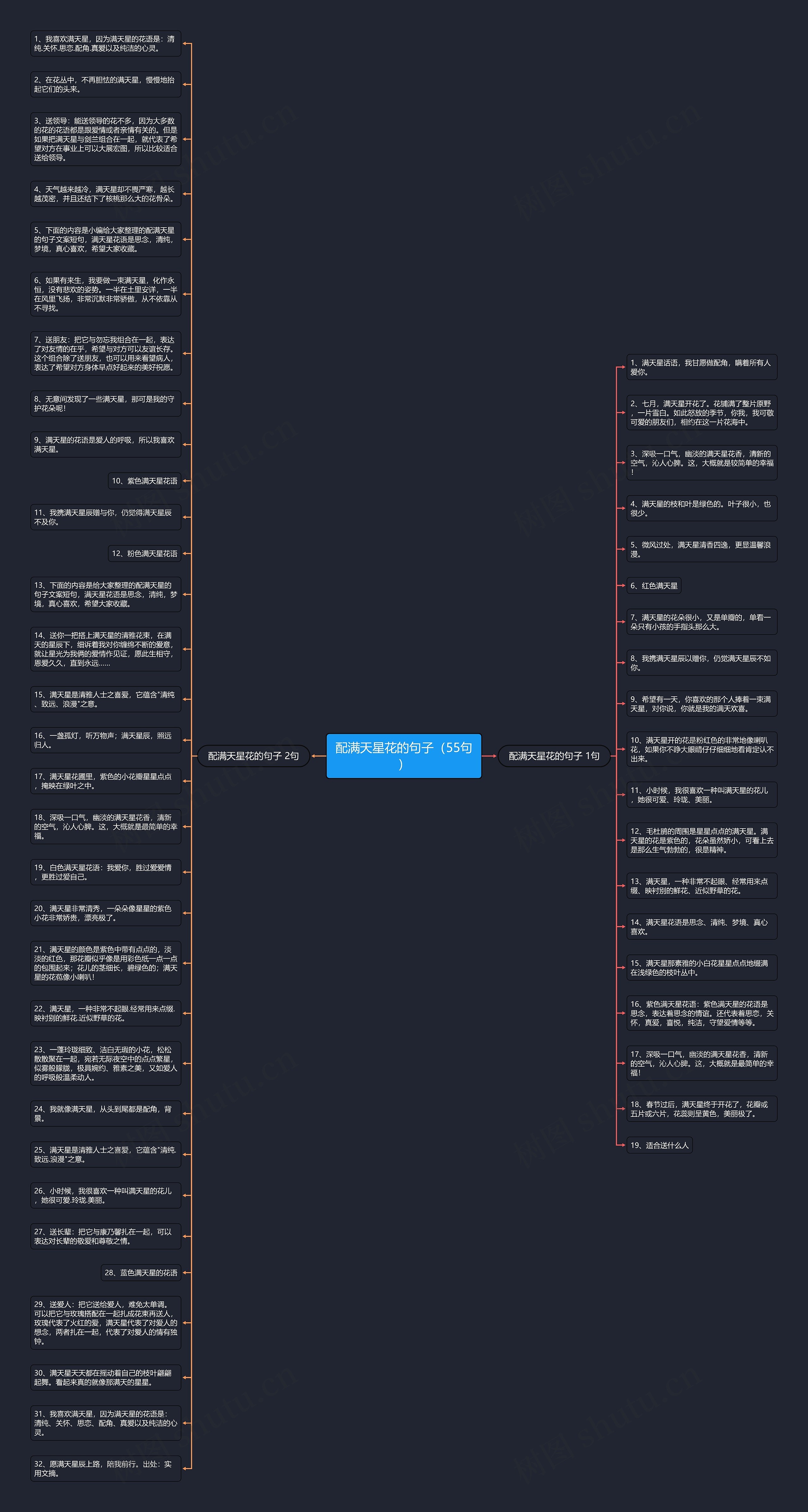 配满天星花的句子（55句）思维导图