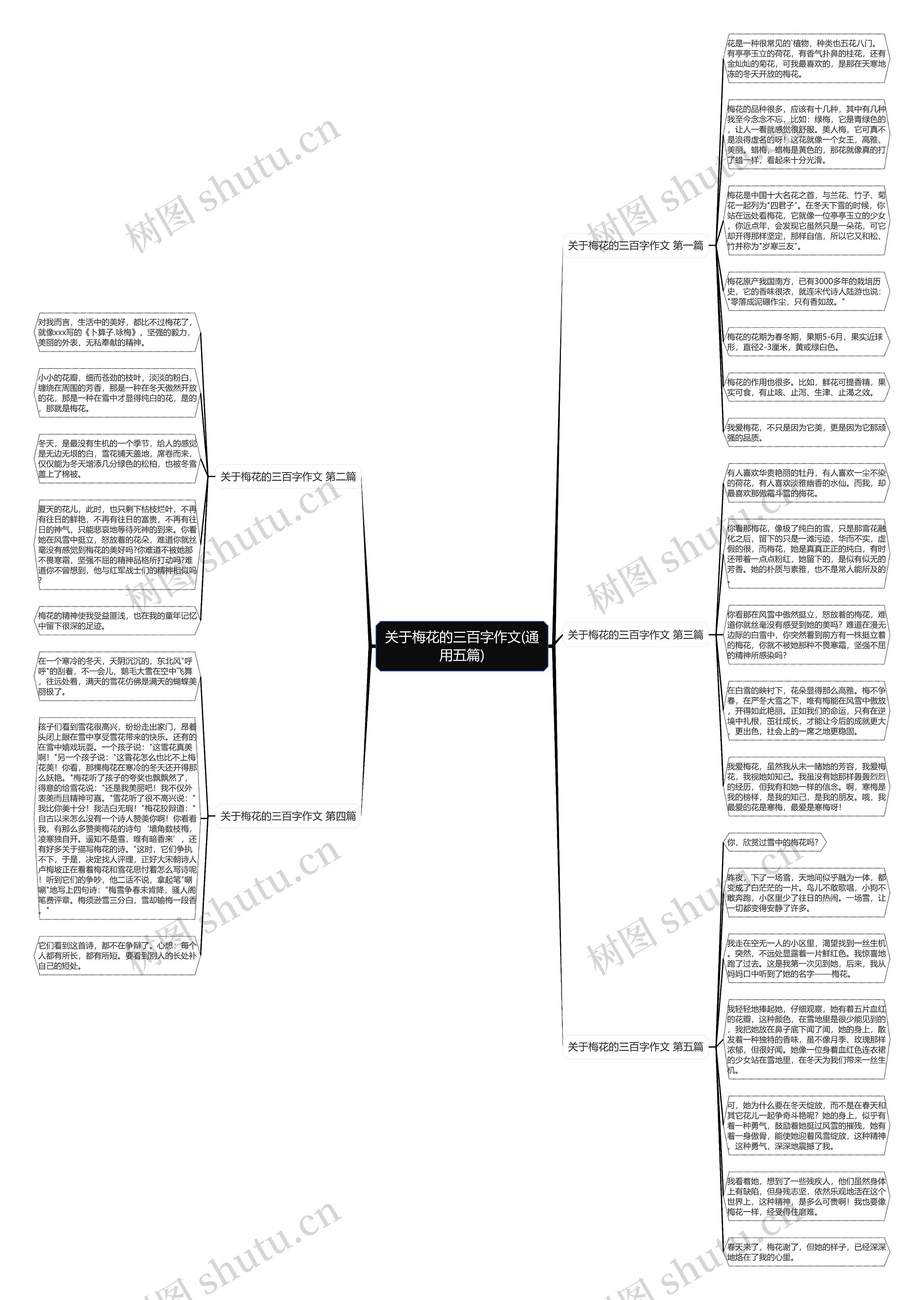 关于梅花的三百字作文(通用五篇)思维导图