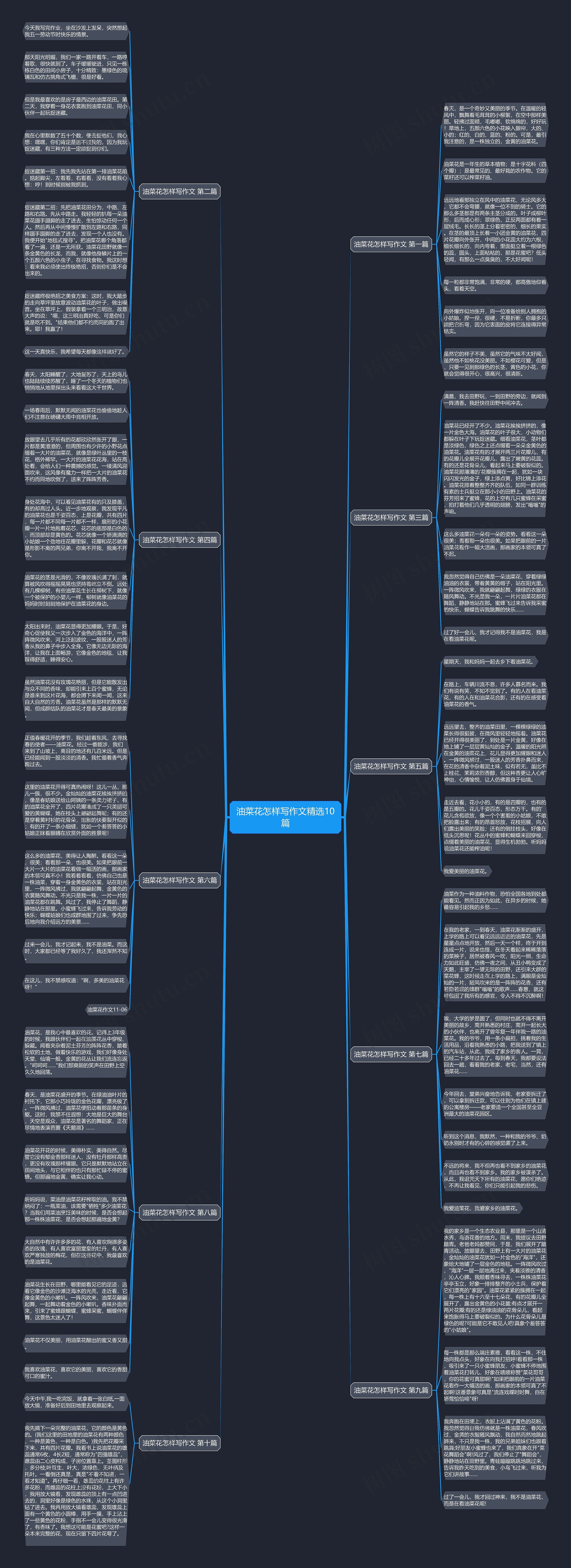 油菜花怎样写作文精选10篇思维导图