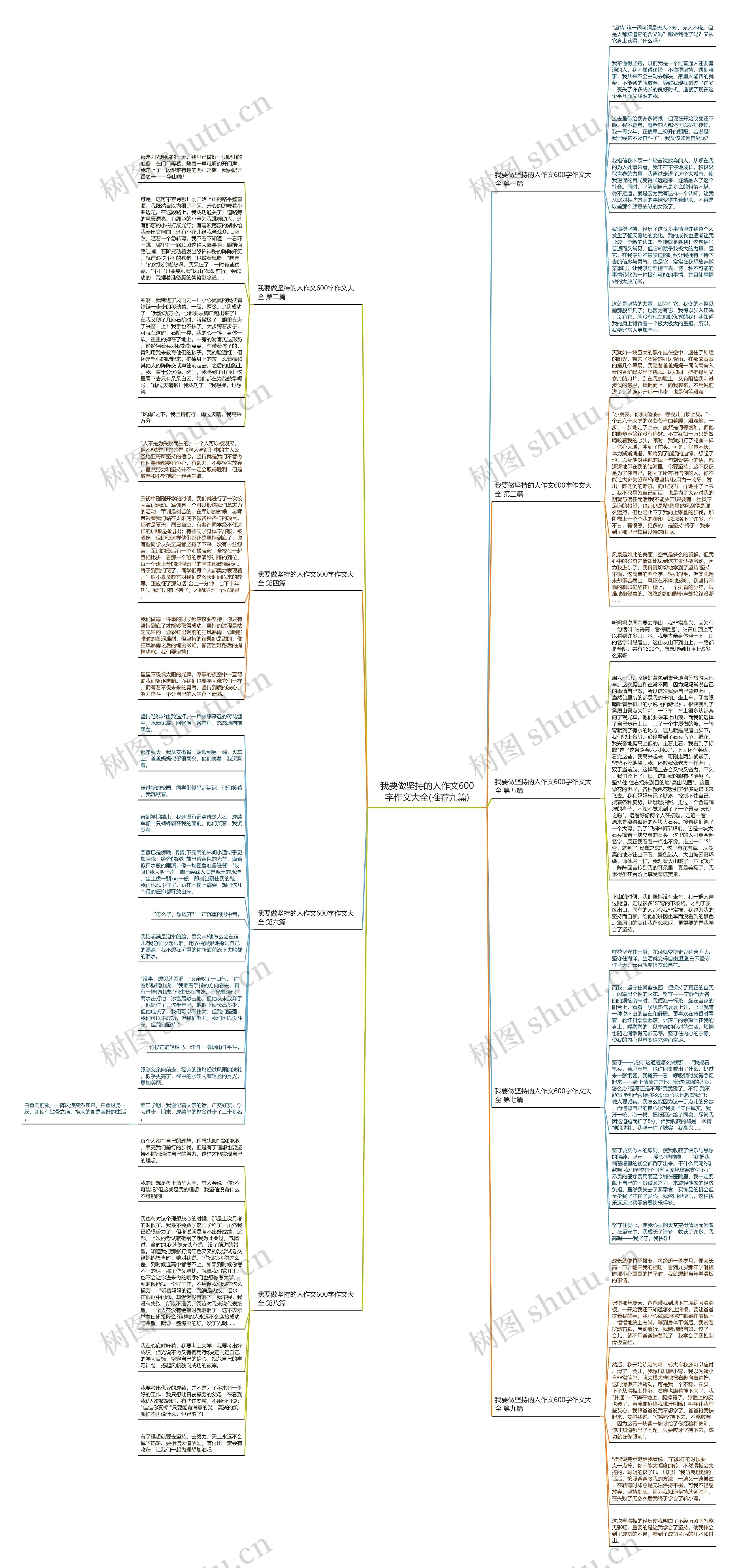 我要做坚持的人作文600字作文大全(推荐九篇)思维导图