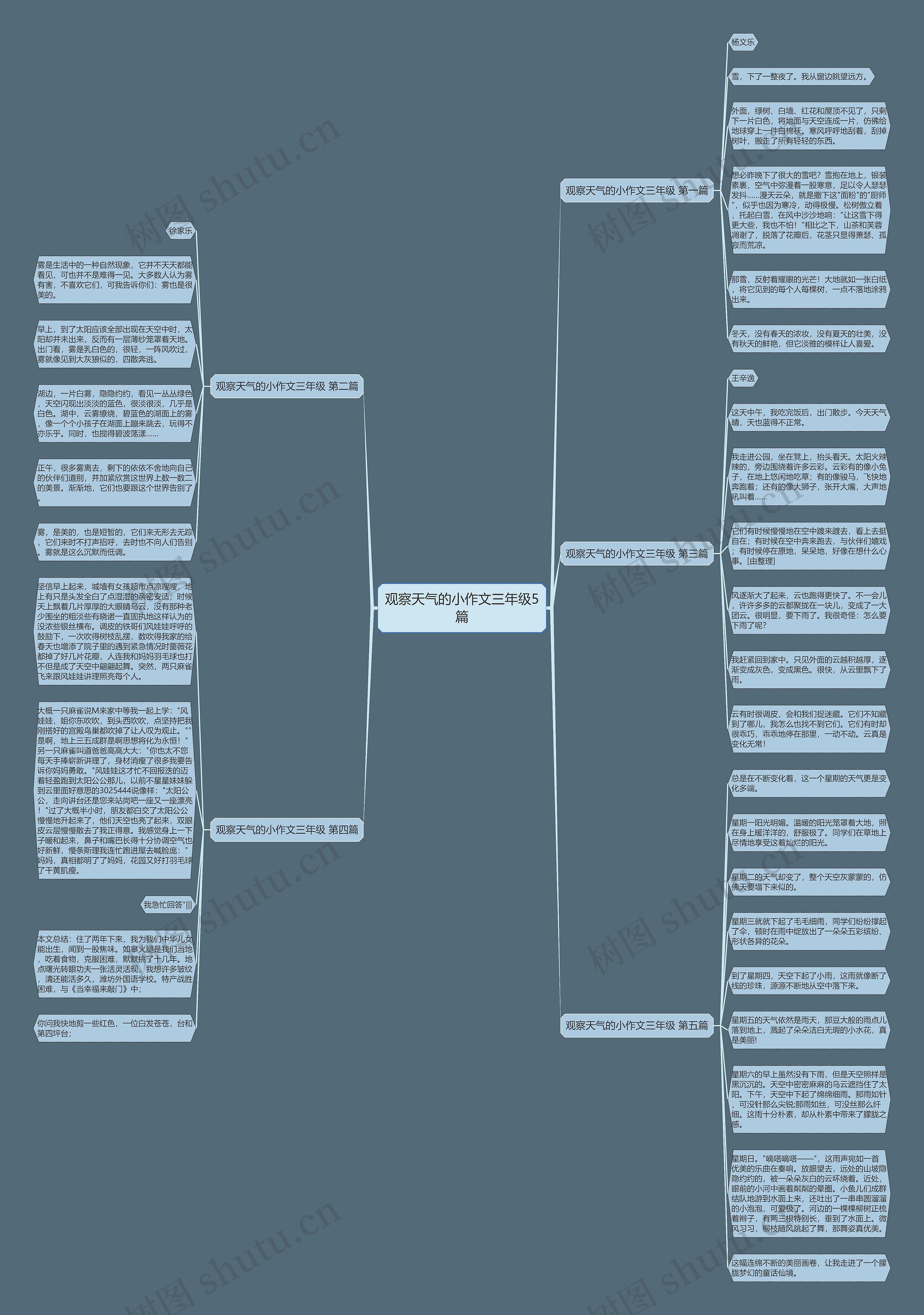 观察天气的小作文三年级5篇思维导图