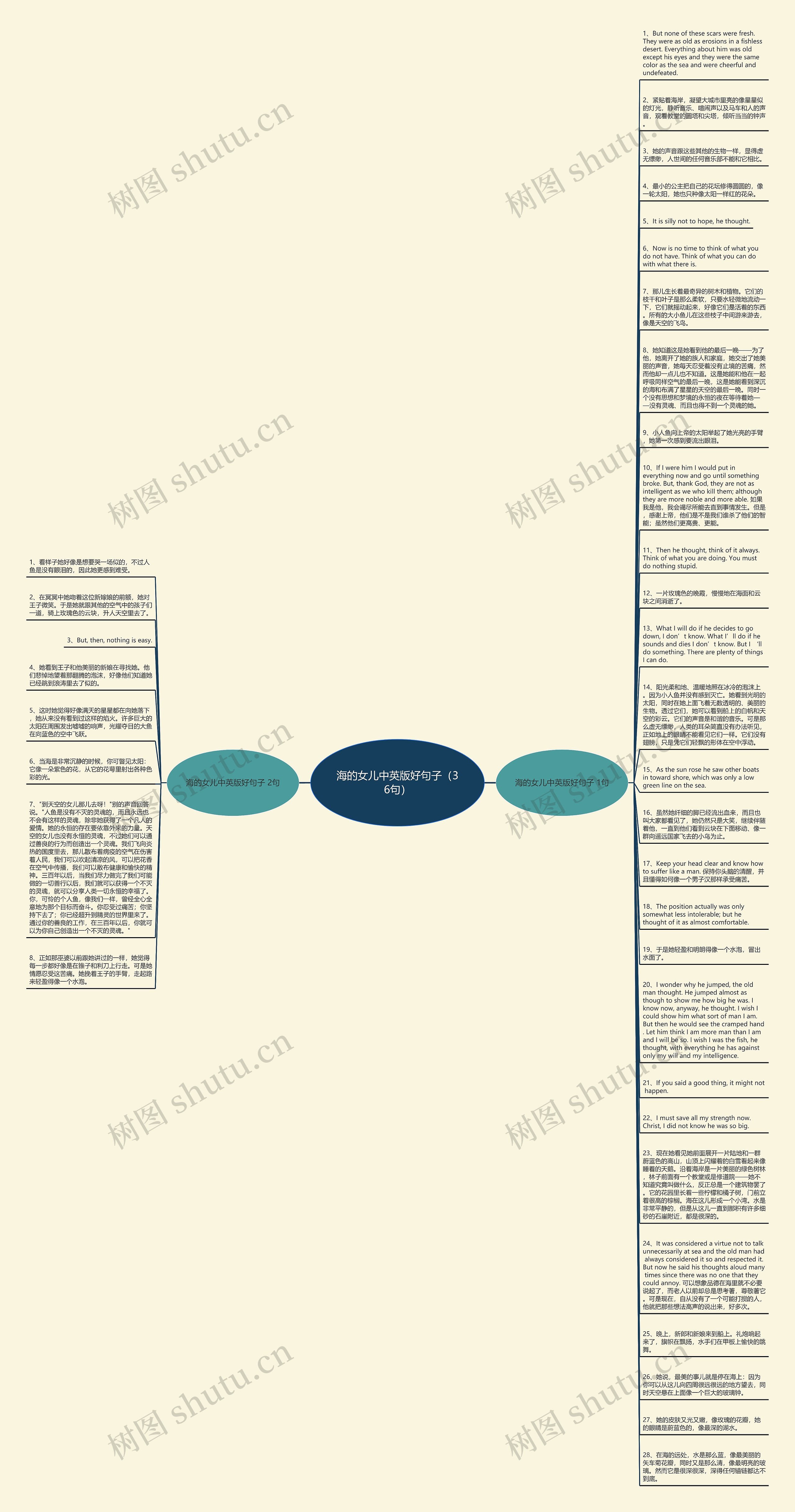 海的女儿中英版好句子（36句）思维导图