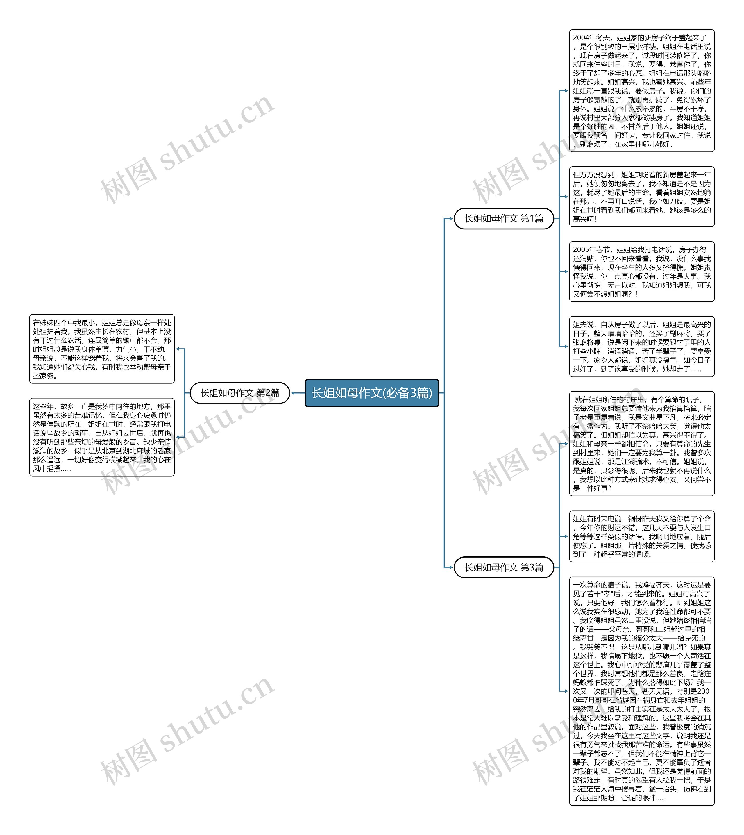 长姐如母作文(必备3篇)思维导图