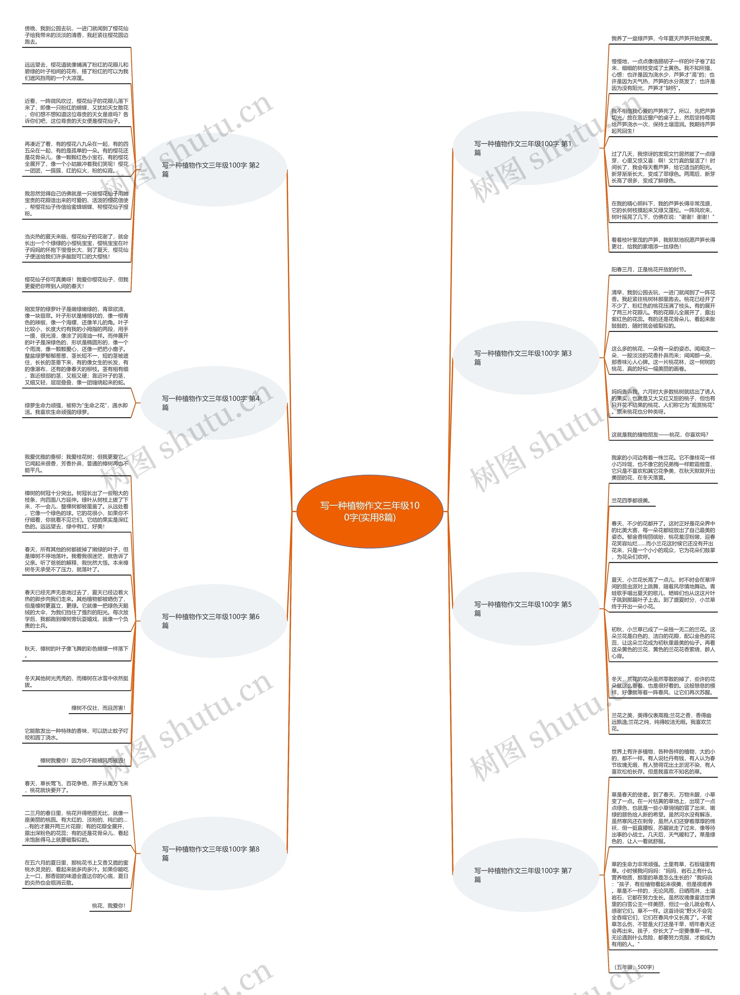 写一种植物作文三年级100字(实用8篇)思维导图