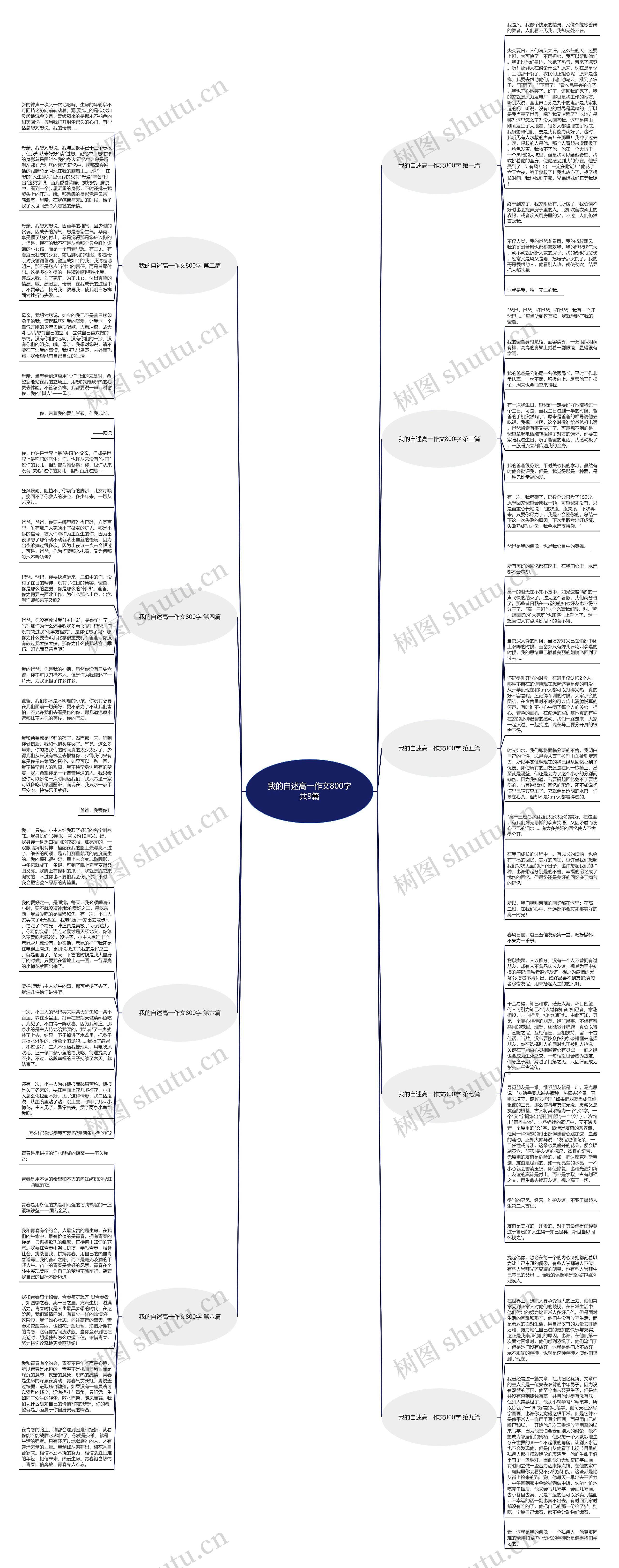 我的自述高一作文800字共9篇思维导图