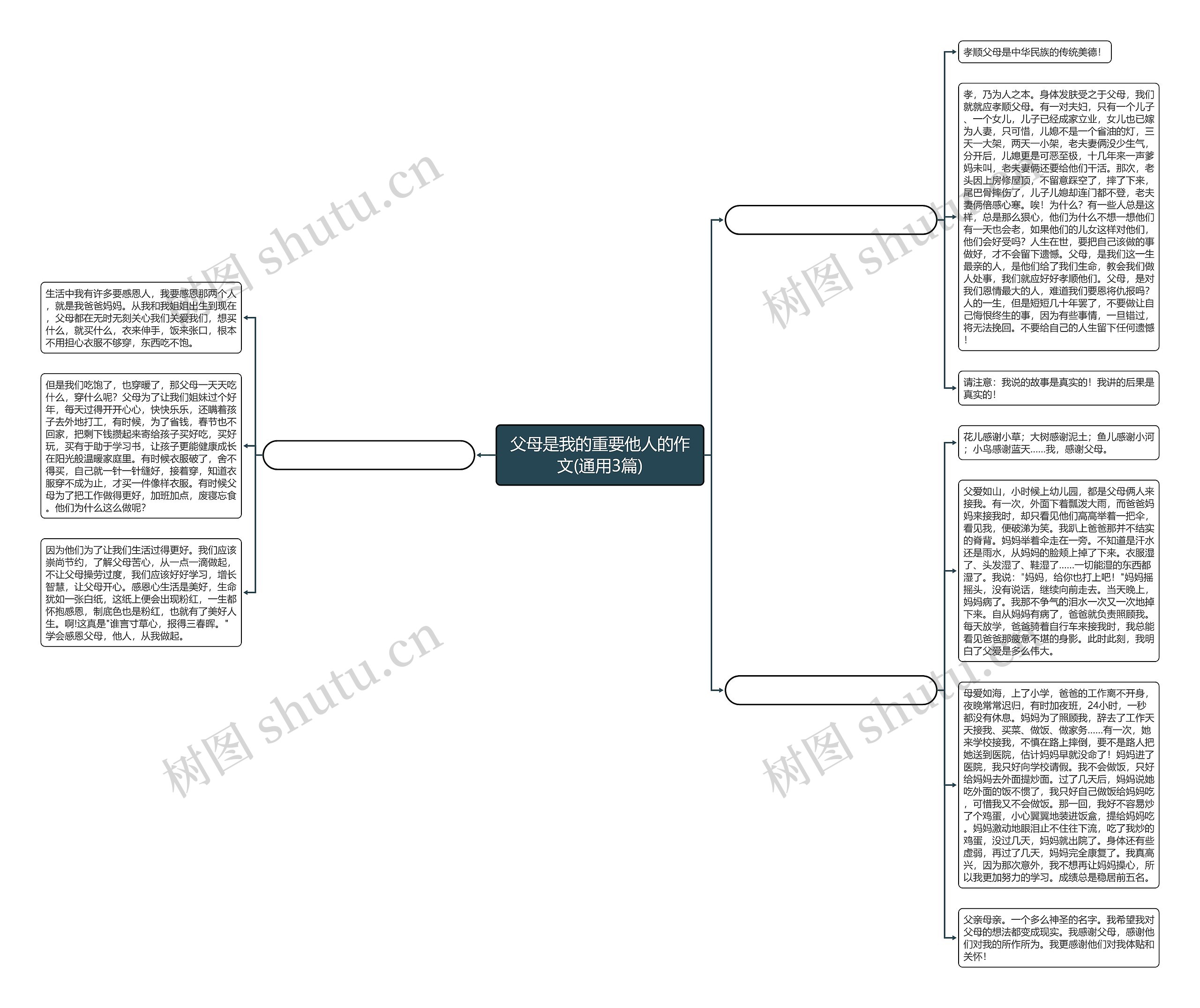父母是我的重要他人的作文(通用3篇)思维导图