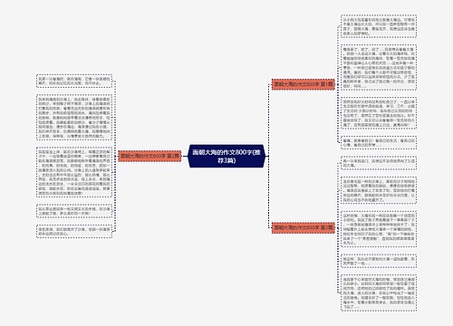 面朝大海的作文800字(推荐3篇)思维导图