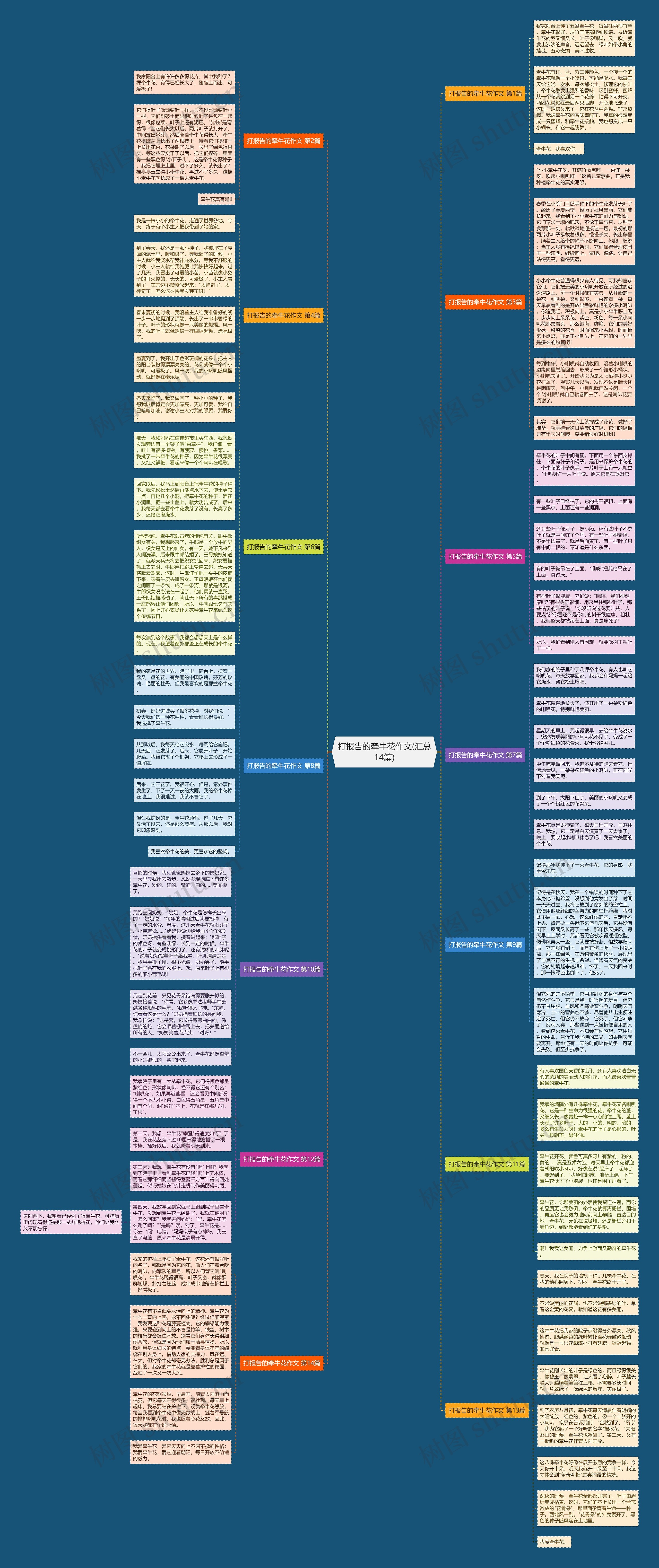 打报告的牵牛花作文(汇总14篇)思维导图