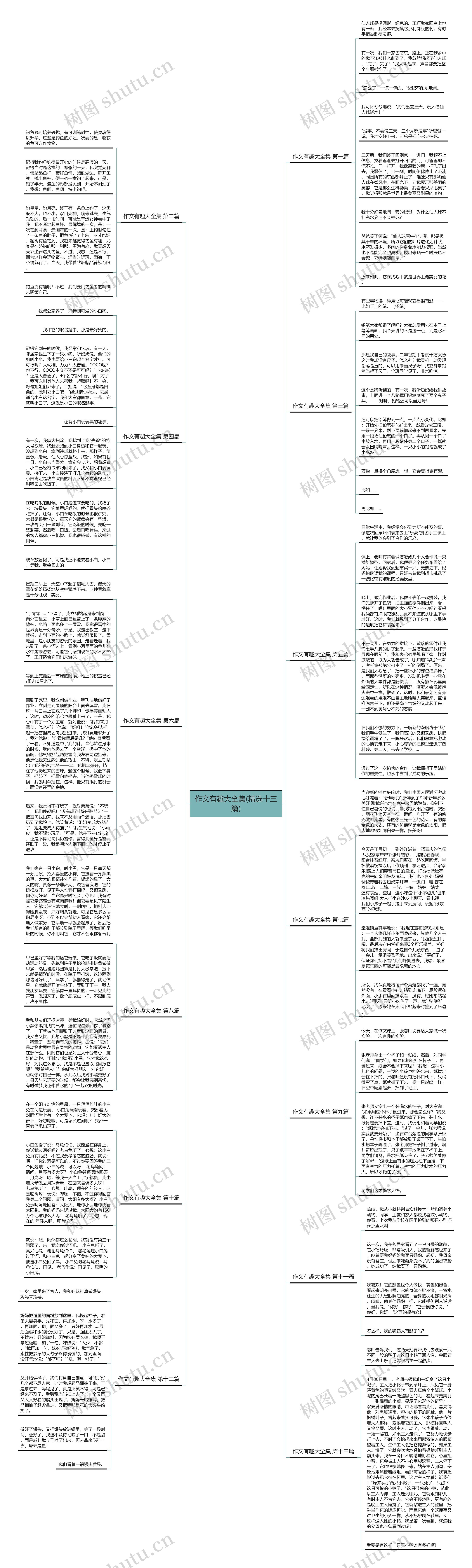 作文有趣大全集(精选十三篇)思维导图