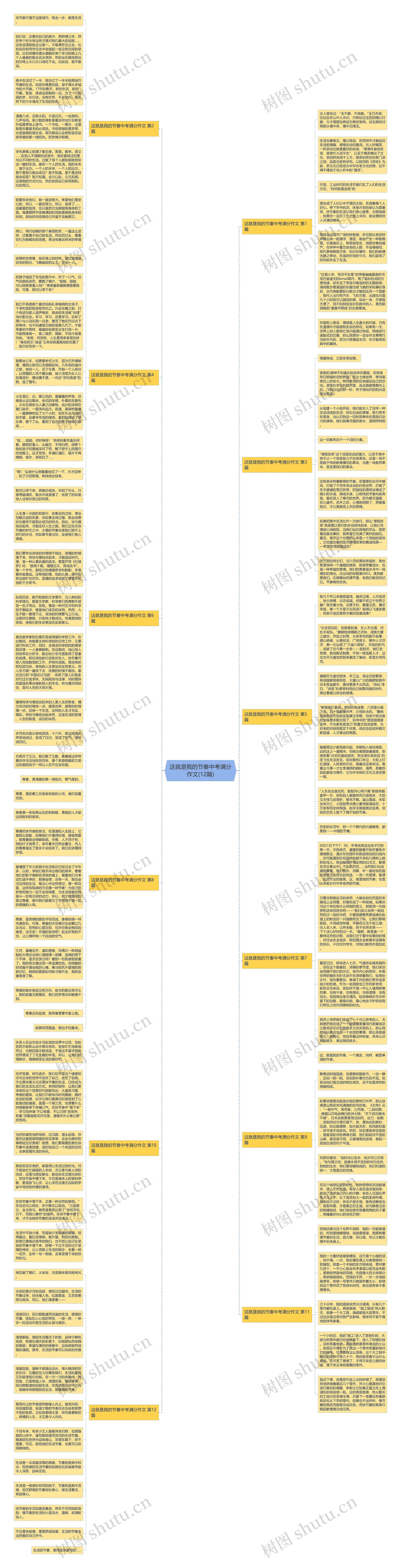 这就是我的节奏中考满分作文(12篇)思维导图