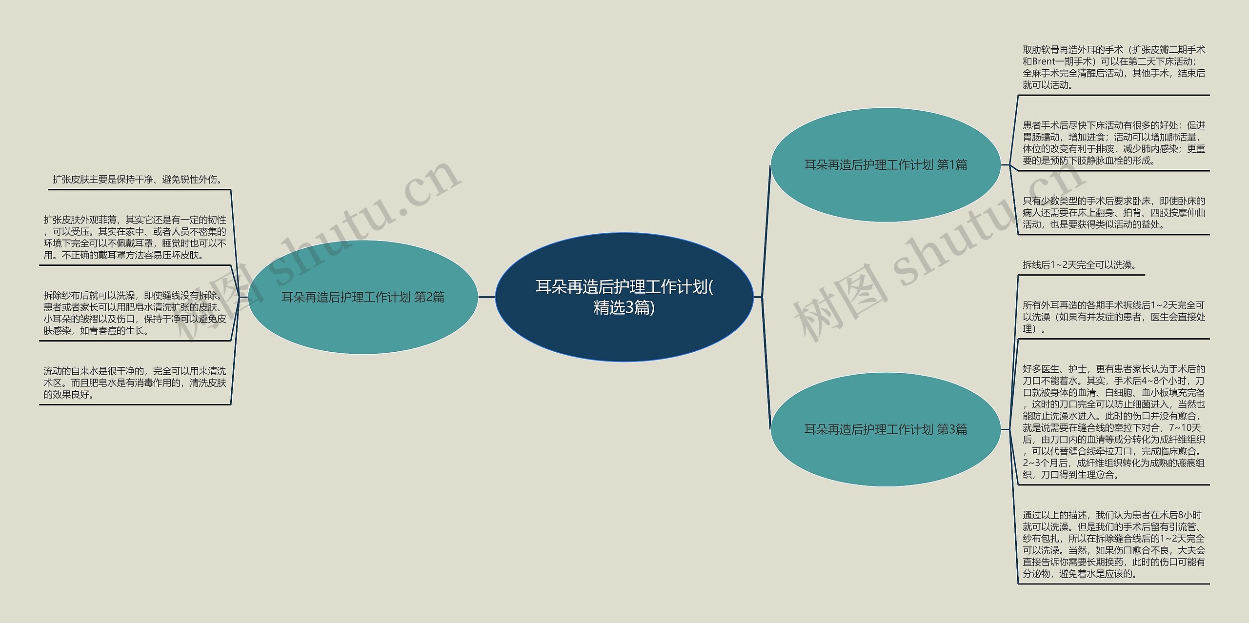 耳朵再造后护理工作计划(精选3篇)