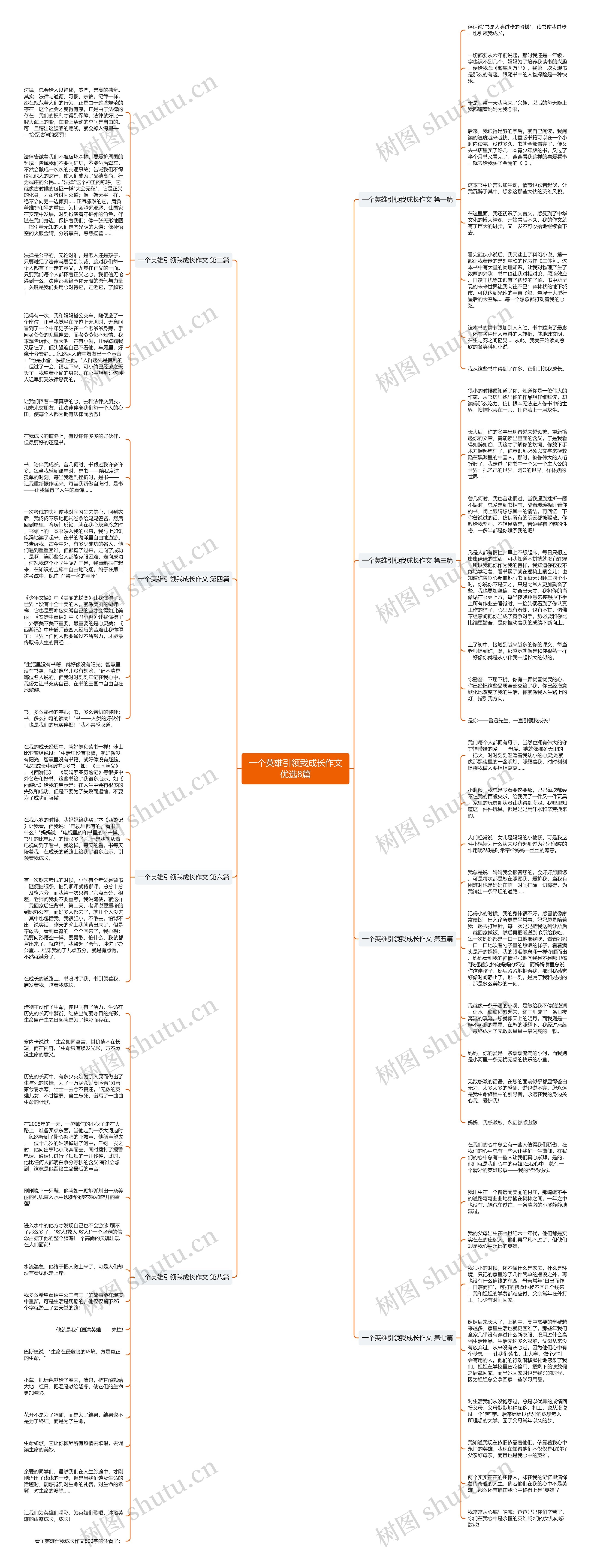 一个英雄引领我成长作文优选8篇思维导图