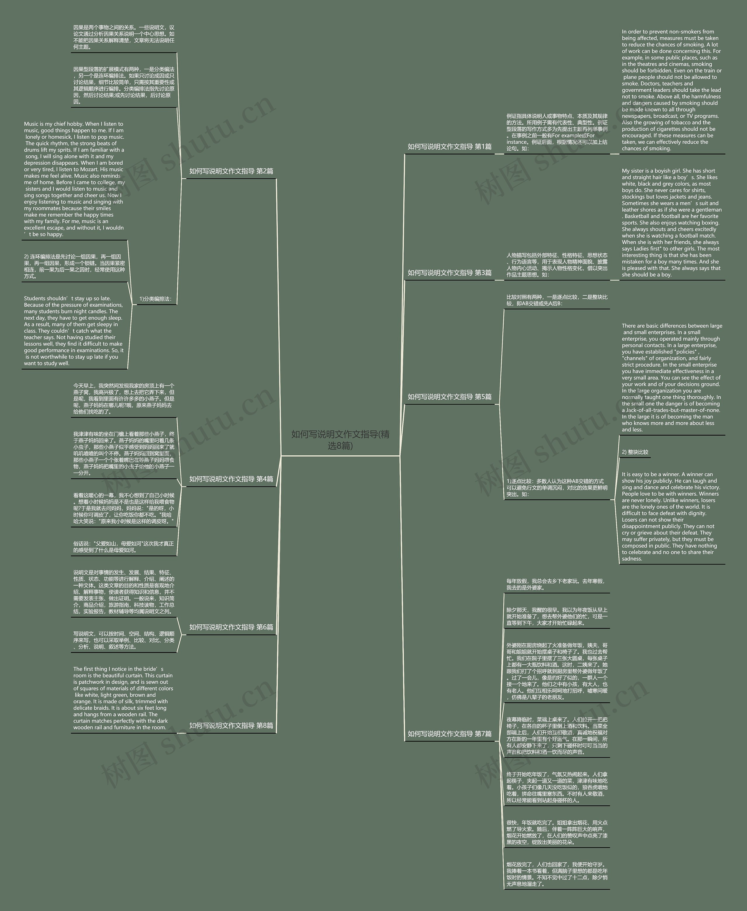 如何写说明文作文指导(精选8篇)思维导图