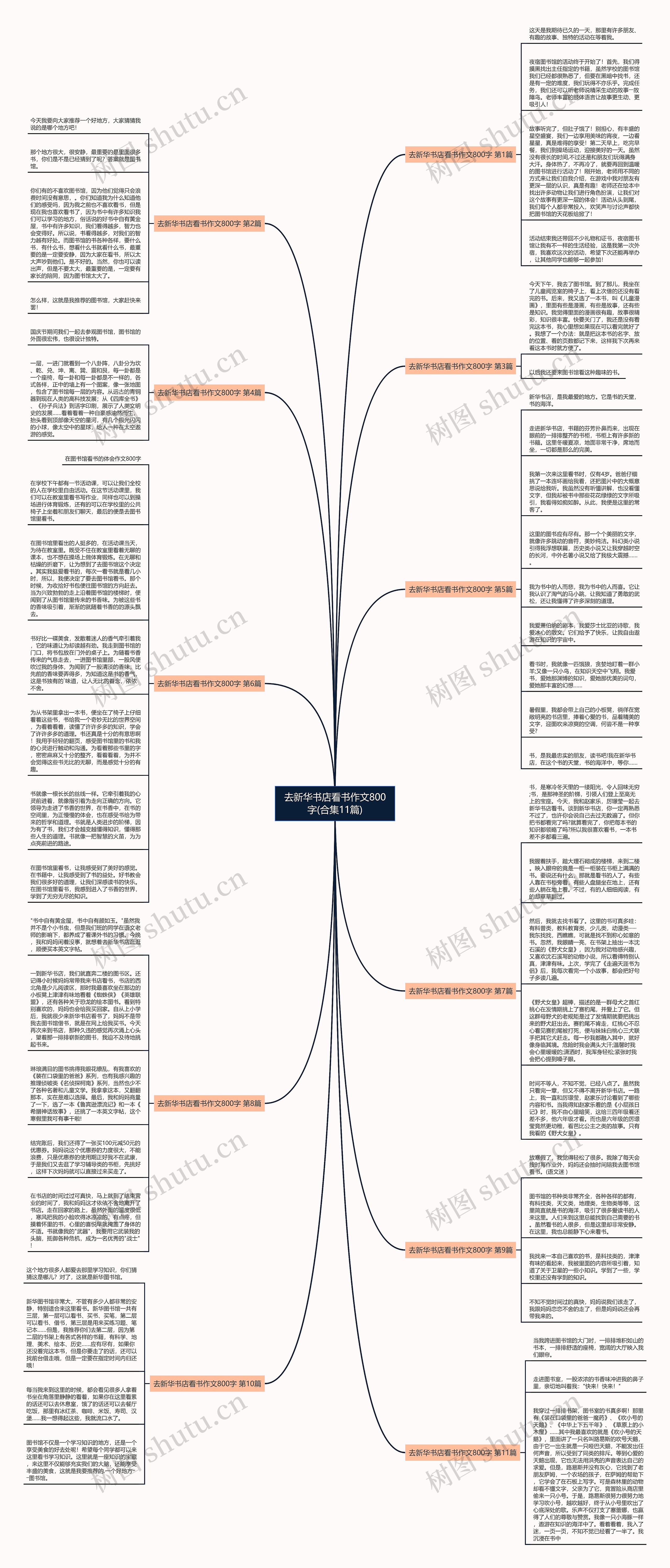 去新华书店看书作文800字(合集11篇)思维导图