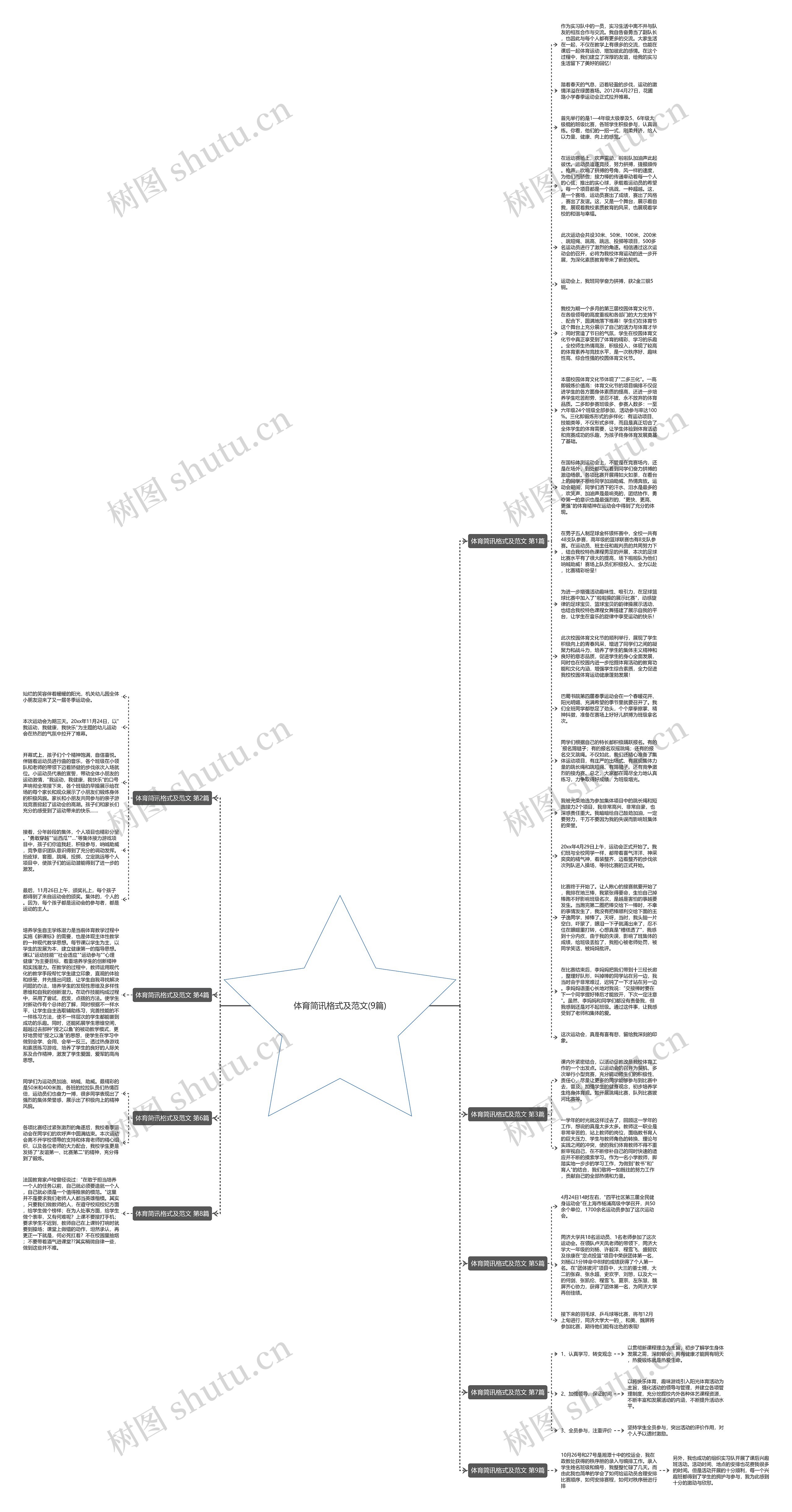 体育简讯格式及范文(9篇)思维导图