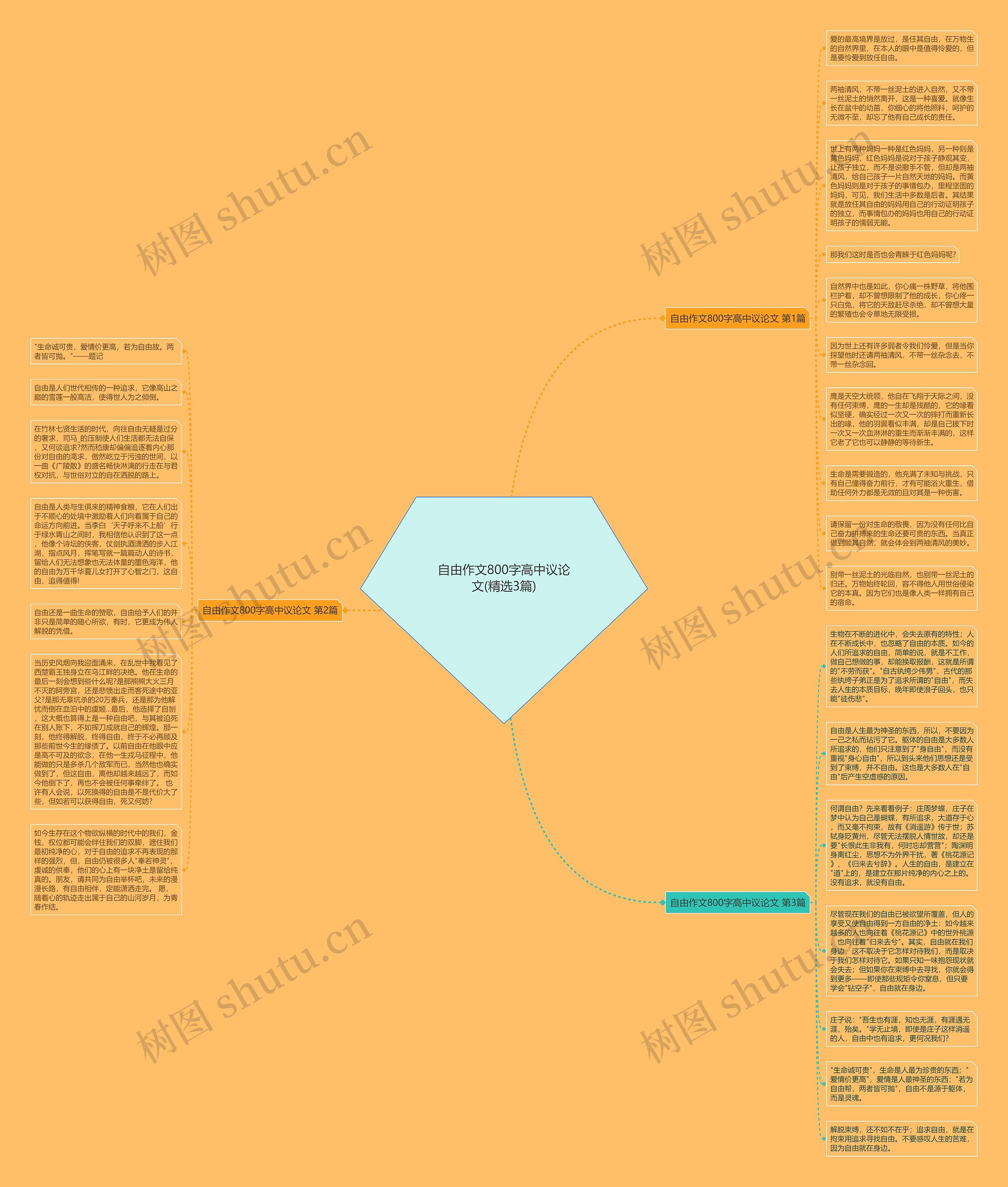 自由作文800字高中议论文(精选3篇)思维导图