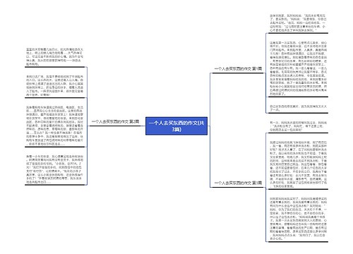 一个人去买东西的作文(共3篇)