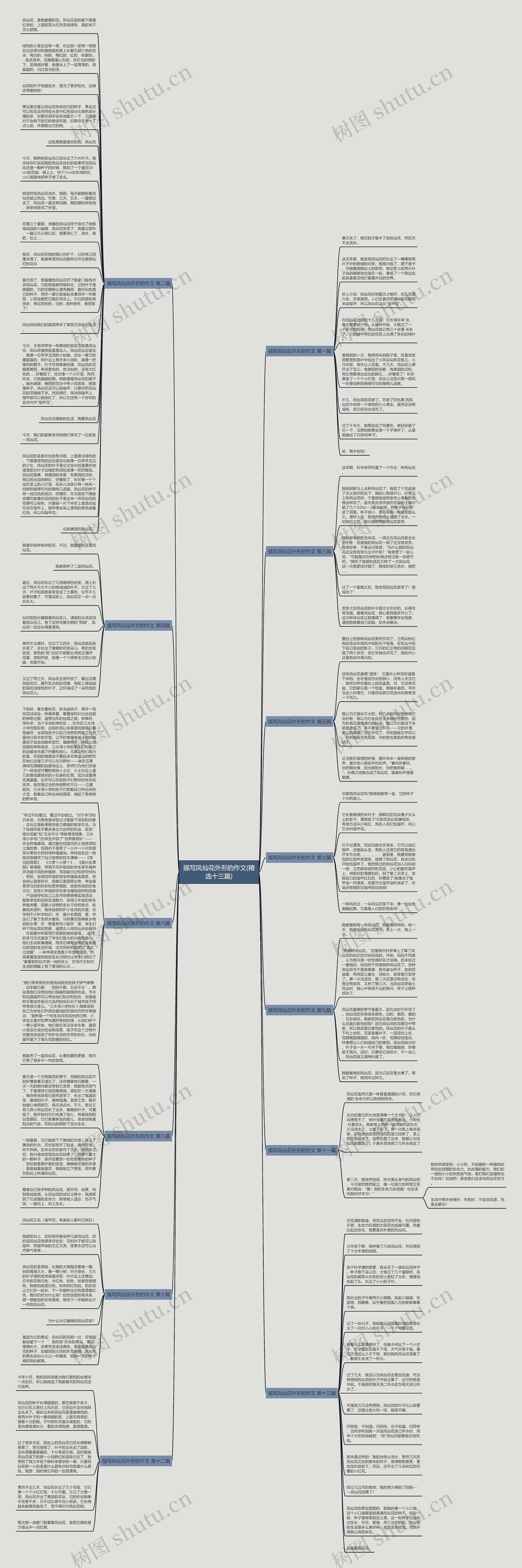 描写凤仙花外形的作文(精选十三篇)思维导图