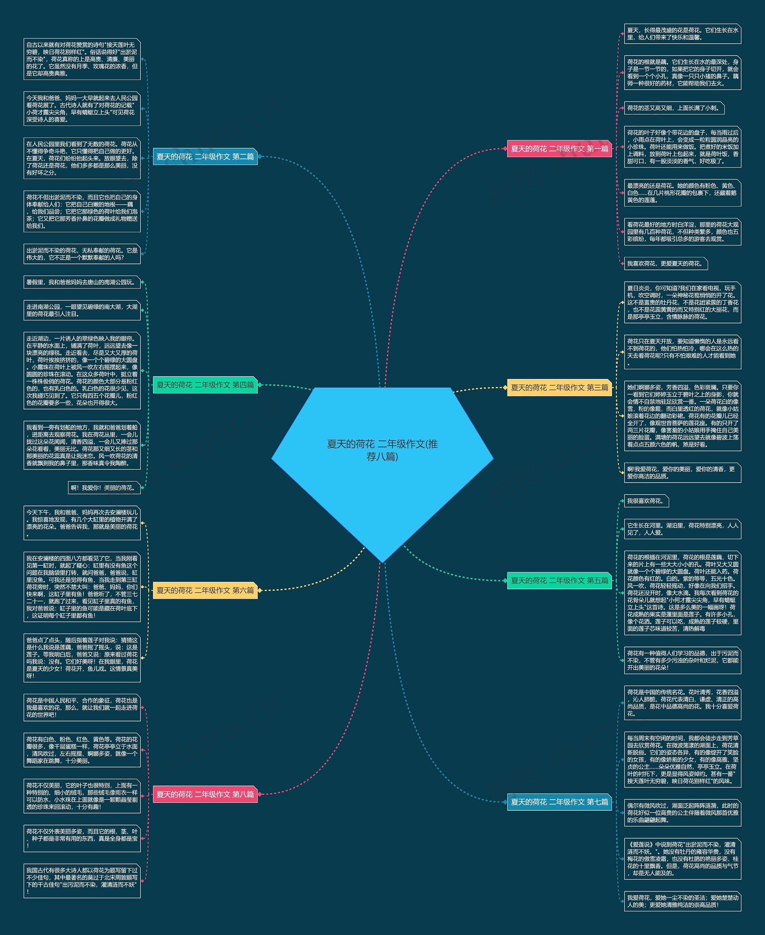 夏天的荷花 二年级作文(推荐八篇)思维导图
