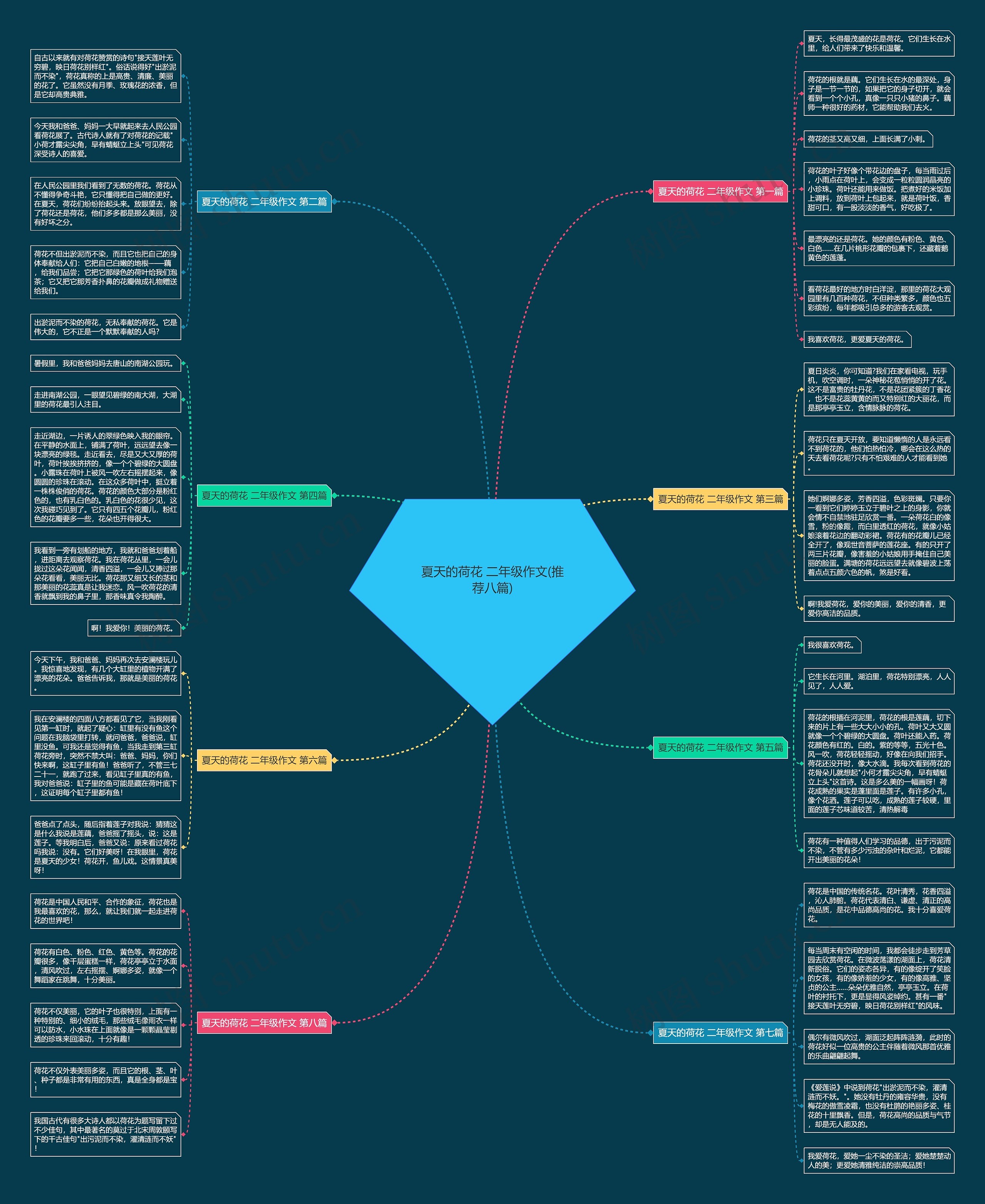 夏天的荷花 二年级作文(推荐八篇) 夏天的荷花 二年级作文(推荐八篇)