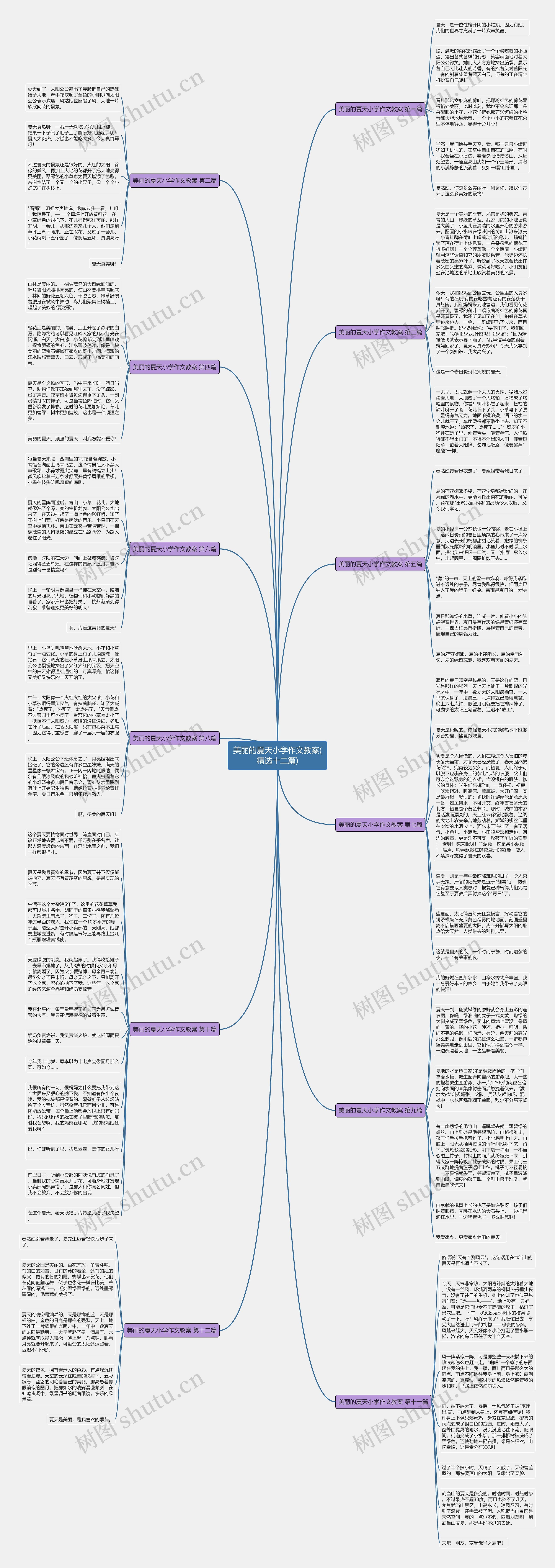 美丽的夏天小学作文教案(精选十二篇)思维导图