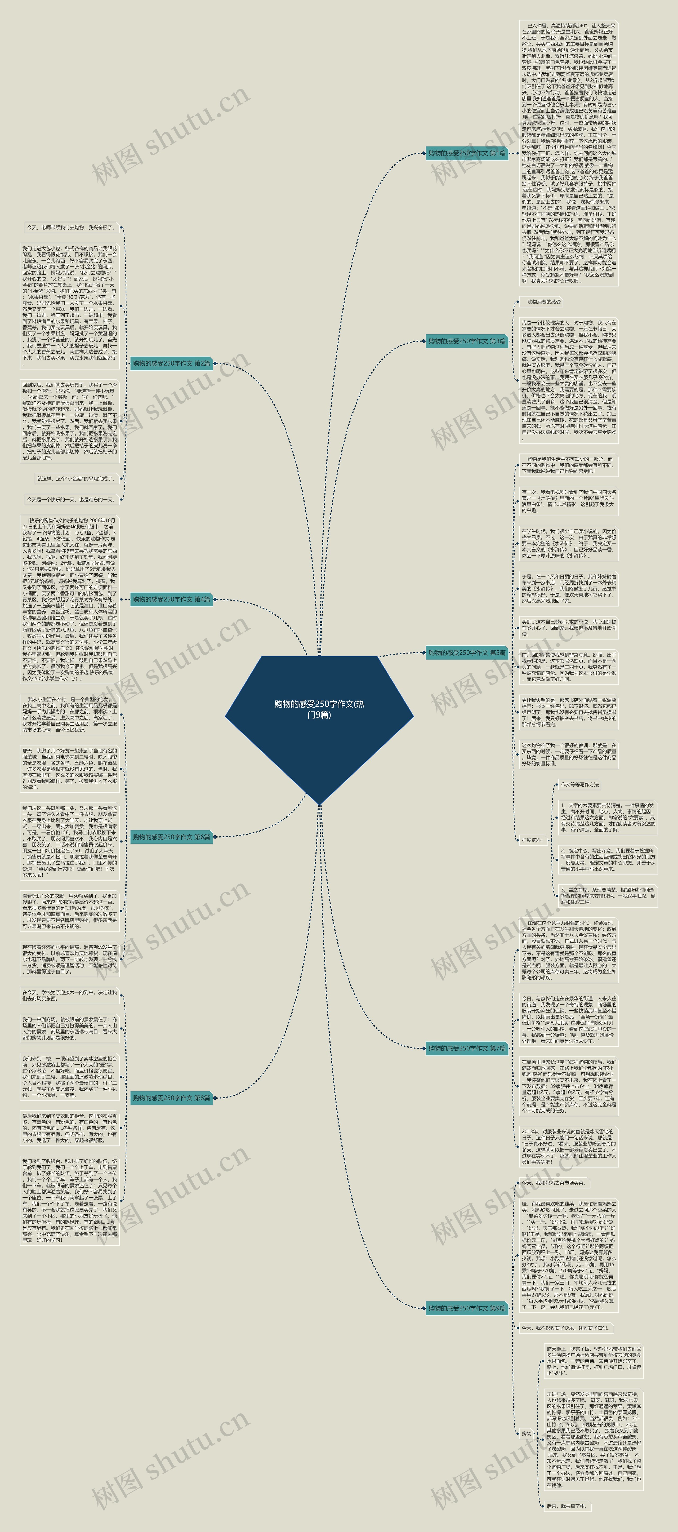 购物的感受250字作文(热门9篇)思维导图