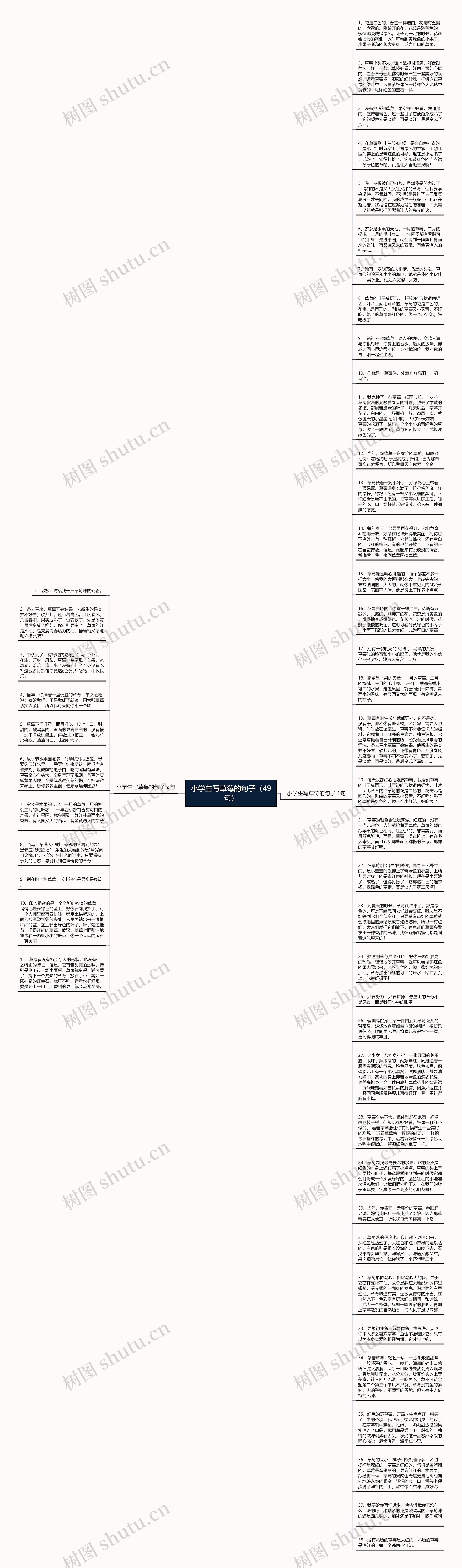 小学生写草莓的句子(49句)思维导图高清图 小学生写草莓的句子(49句)思维导图