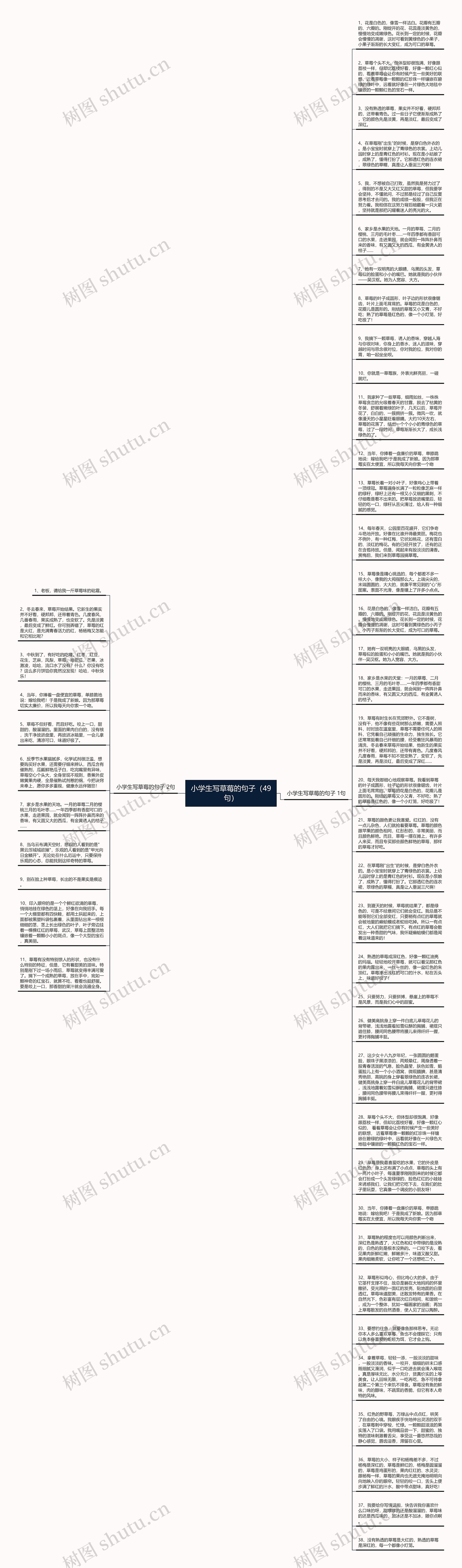 小学生写草莓的句子（49句）思维导图