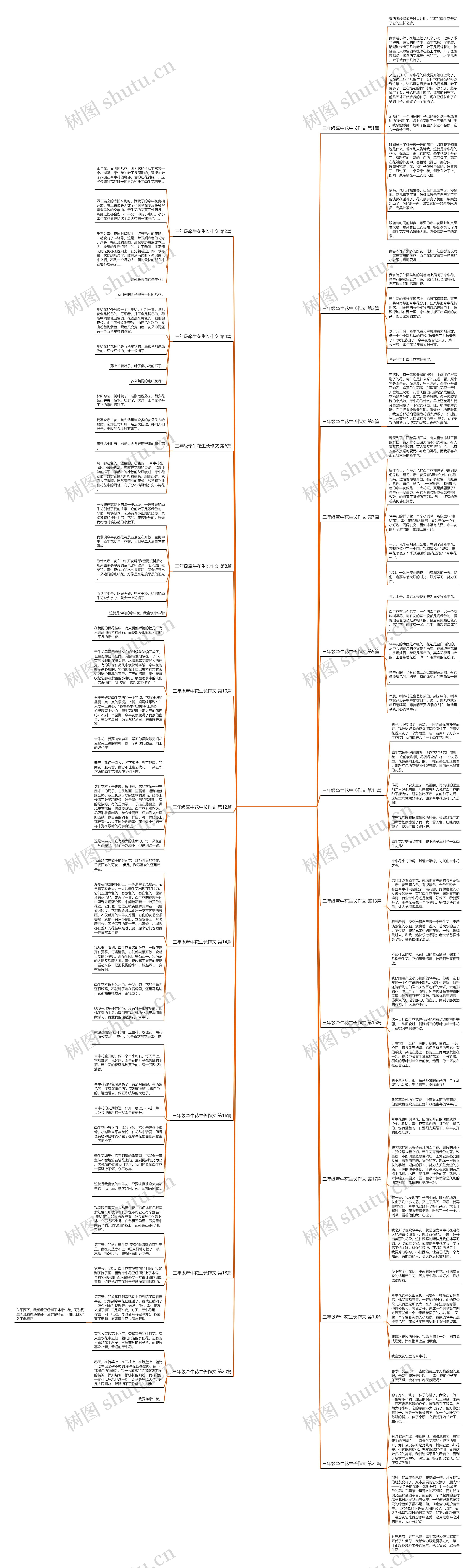 三年级牵牛花生长作文(实用21篇)思维导图
