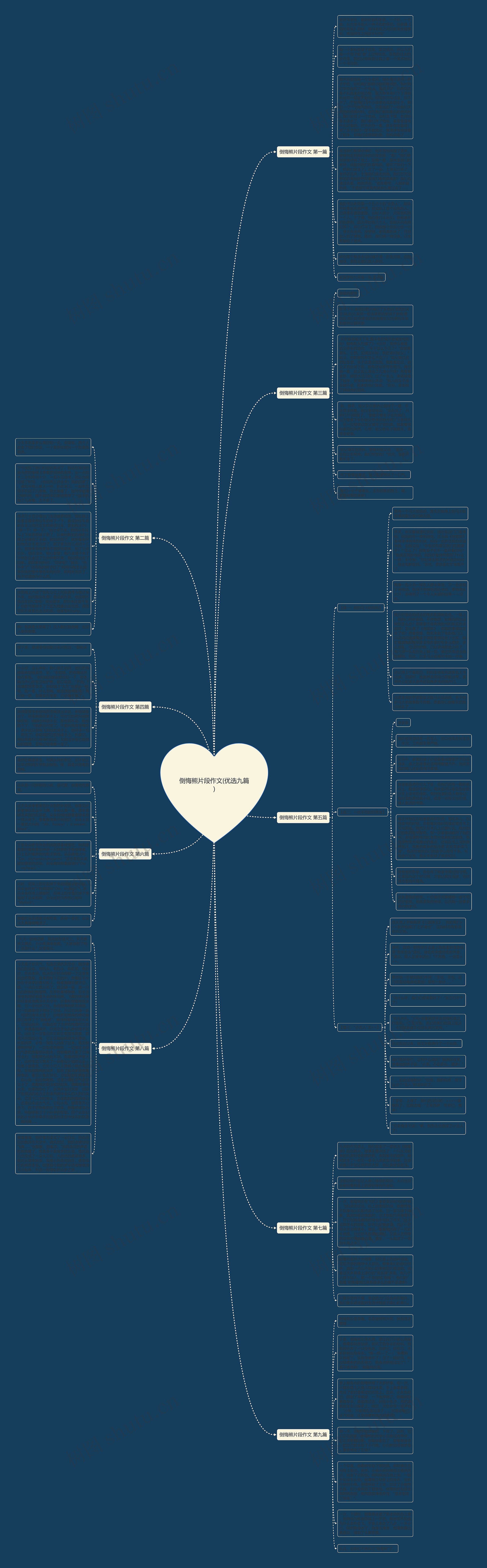 倒悔熊片段作文(优选九篇)思维导图