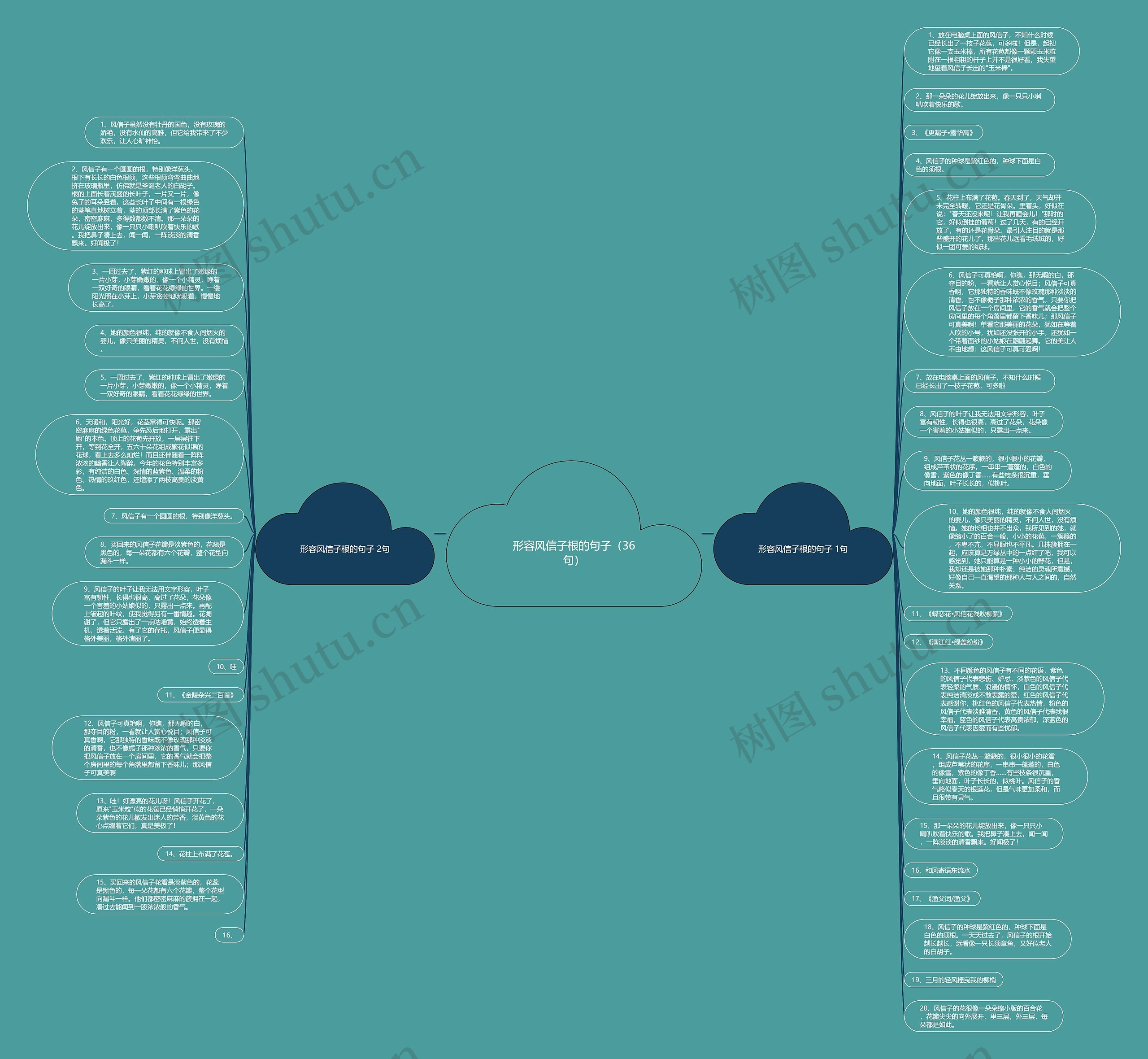 形容风信子根的句子（36句）思维导图
