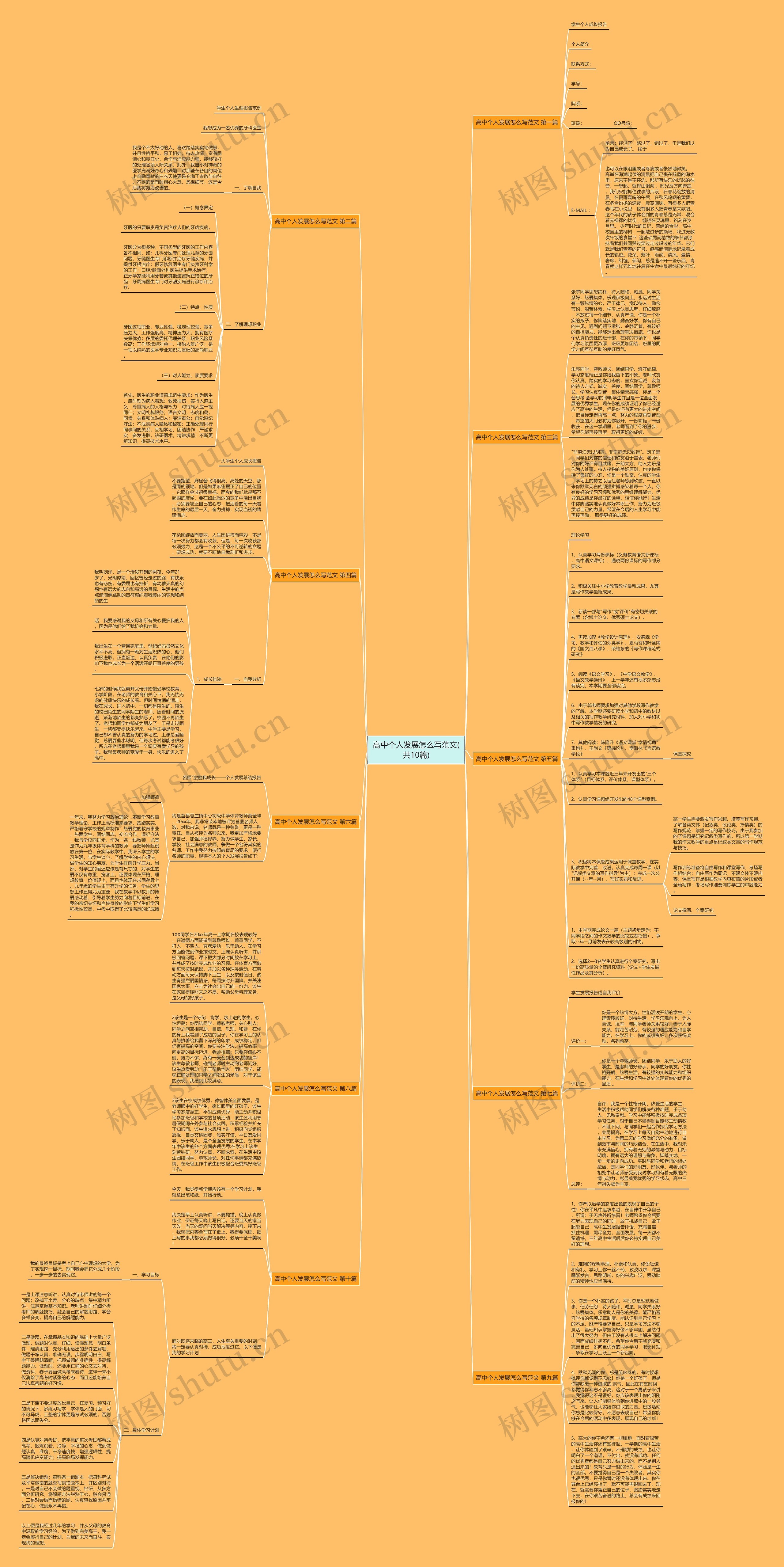 高中个人发展怎么写范文(共10篇)思维导图