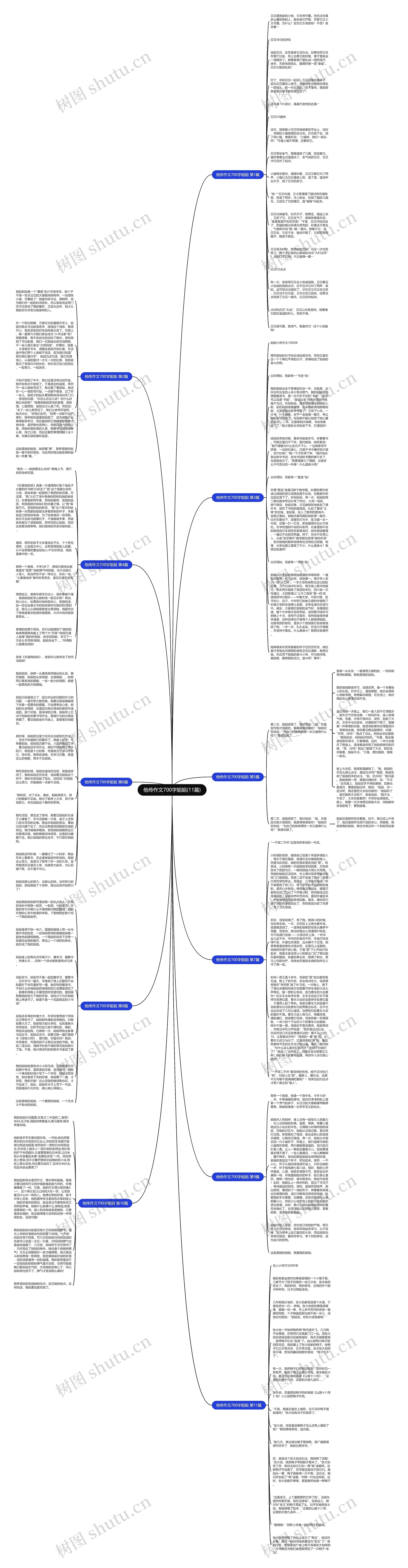 他传作文700字姐姐(11篇)思维导图