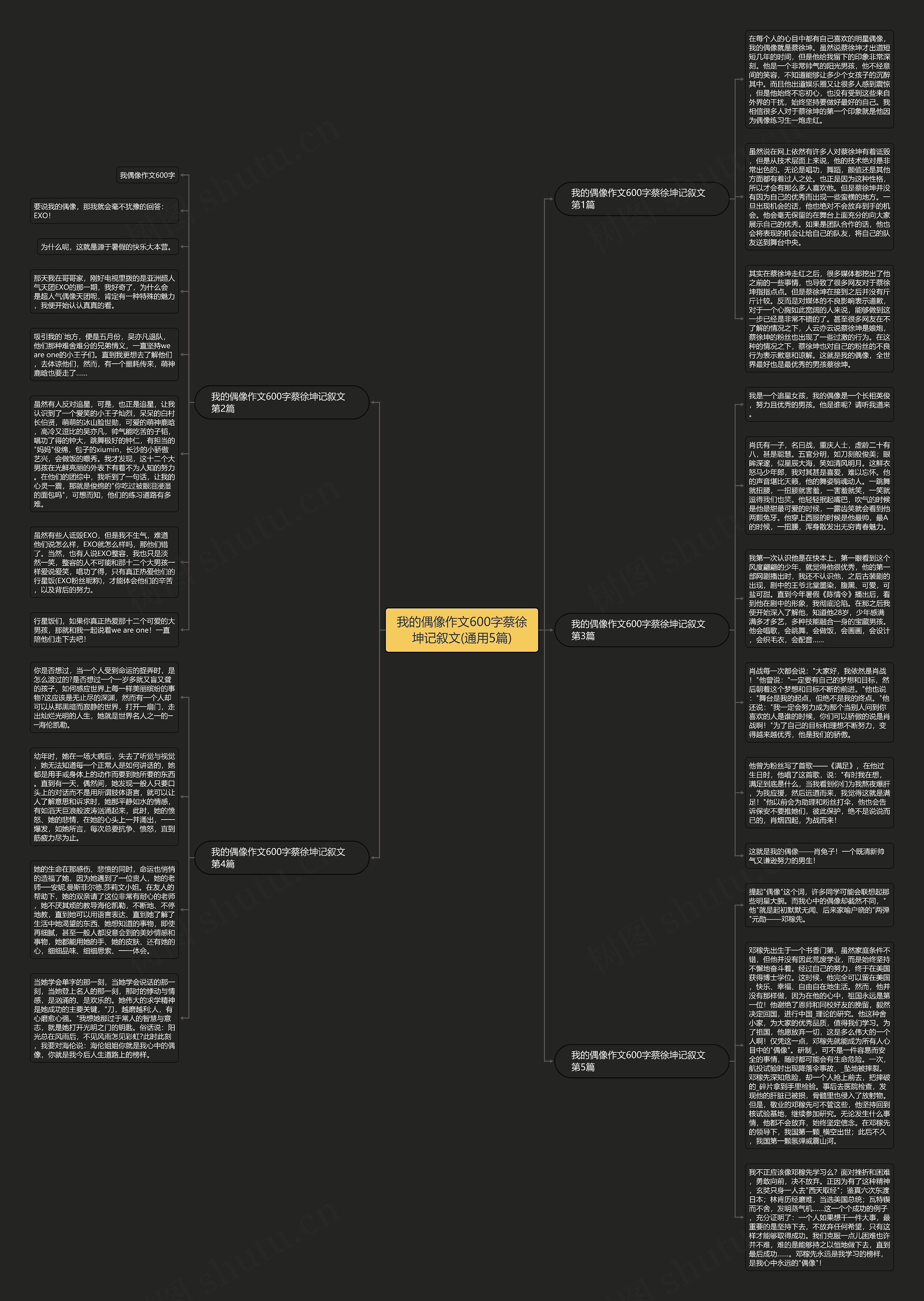 我的偶像作文600字蔡徐坤记叙文(通用5篇)思维导图