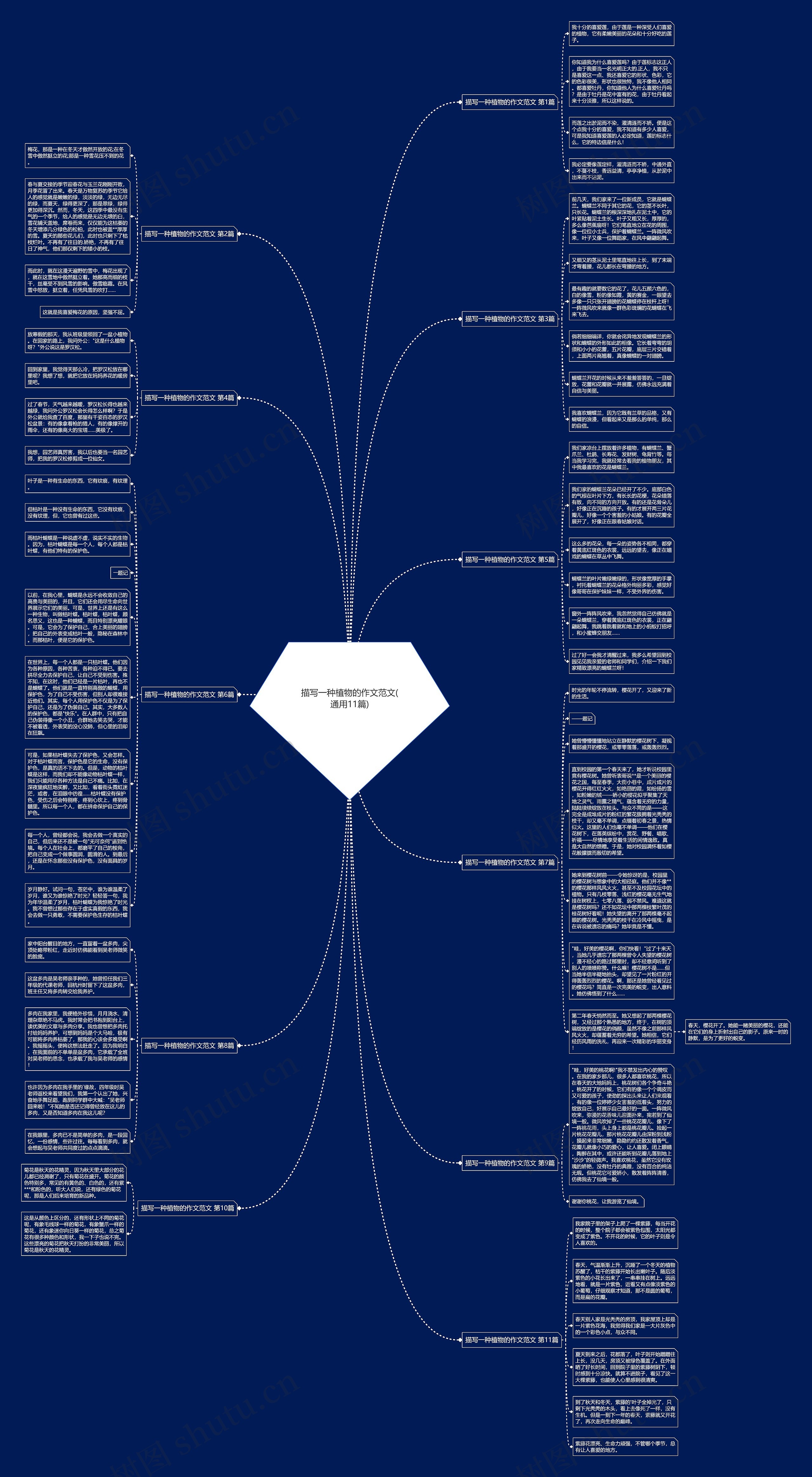 描写一种植物的作文范文(通用11篇)思维导图