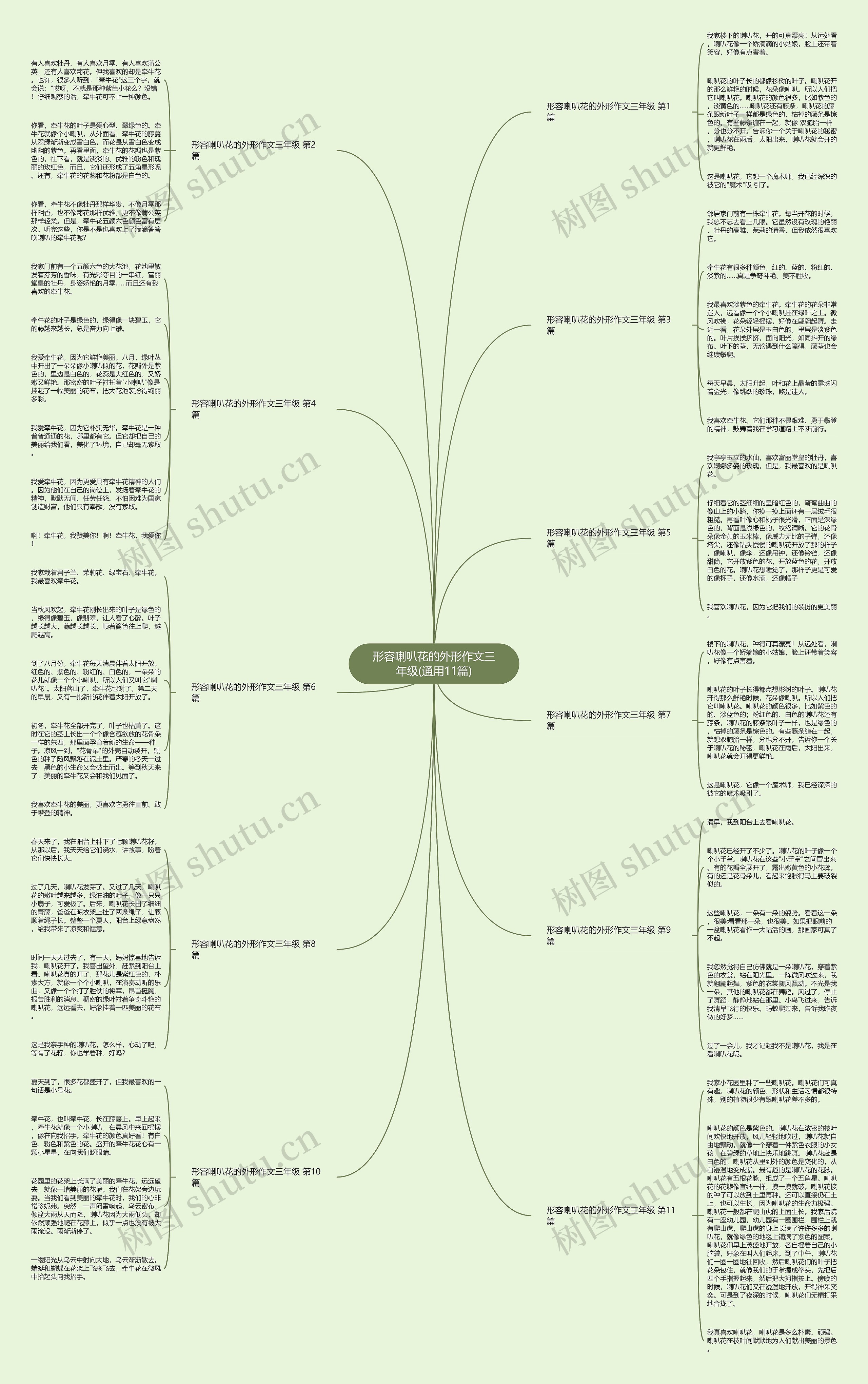 形容喇叭花的外形作文三年级(通用11篇)思维导图